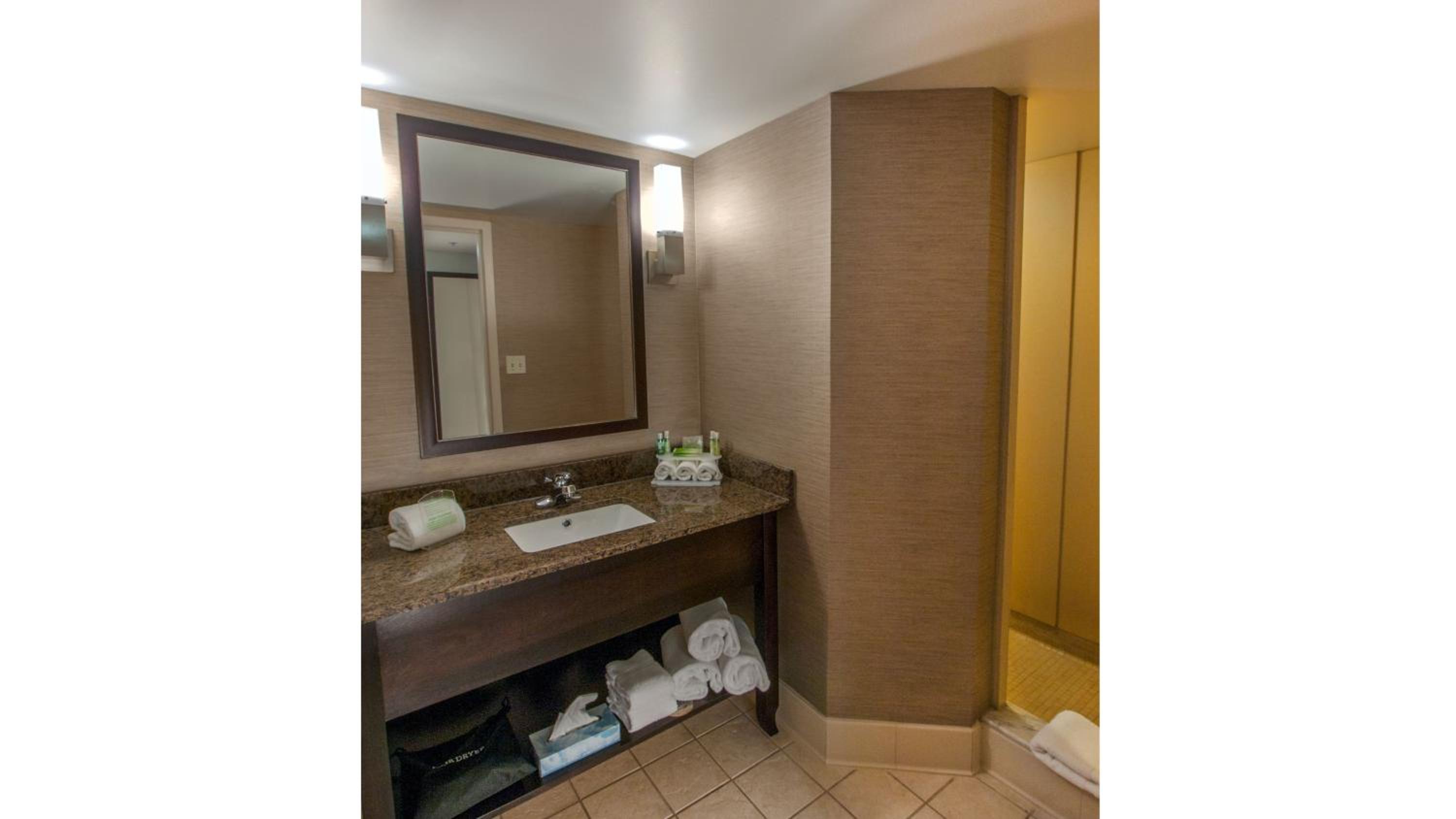 King Suite with Mobility Accessible Roll-In Shower - Photo 4