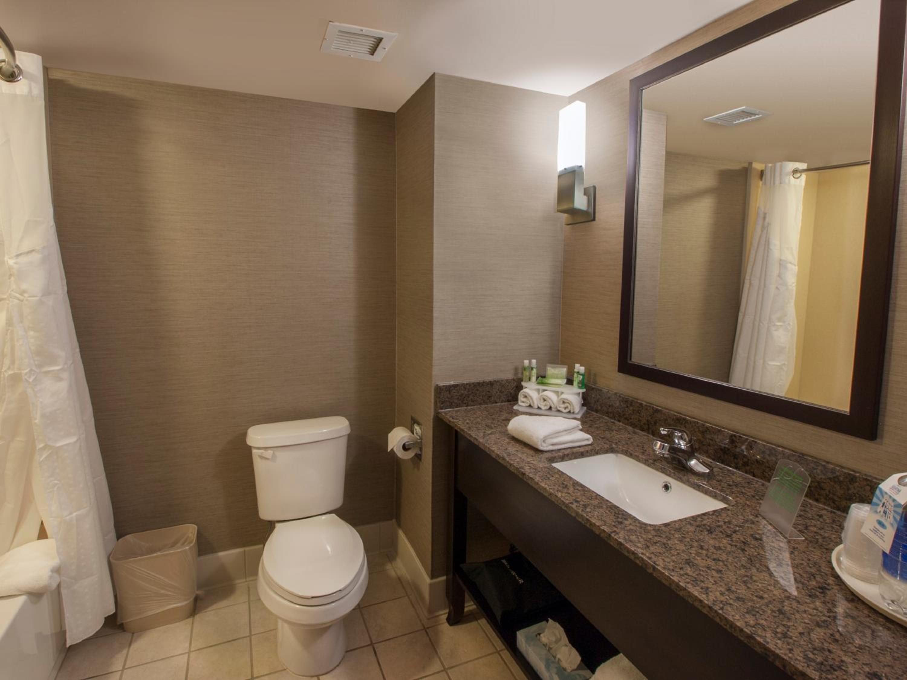 Standard King Room with Mobility Accessible Tub - Photo 4