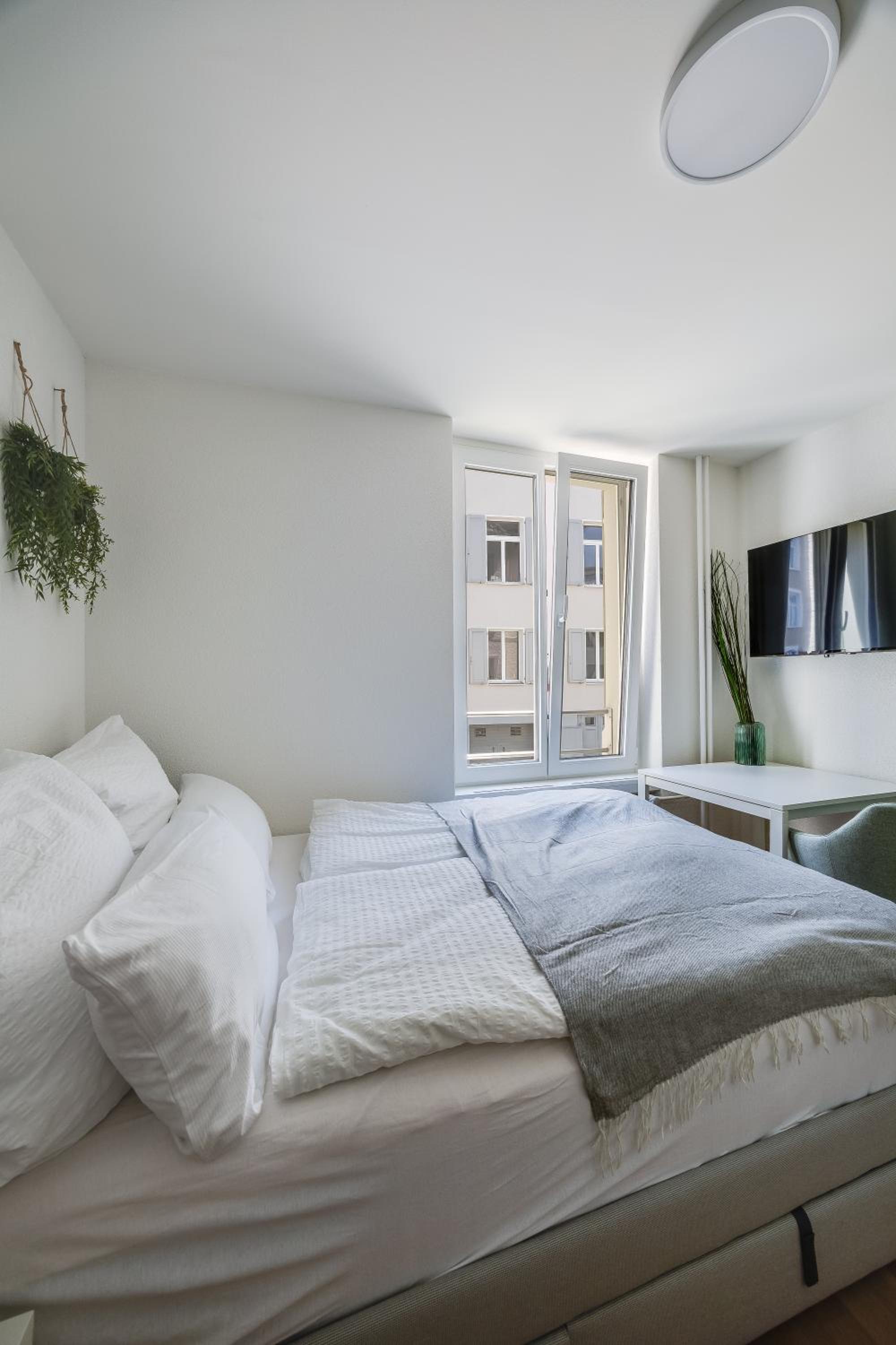 One-Bedroom Apartment photo 2