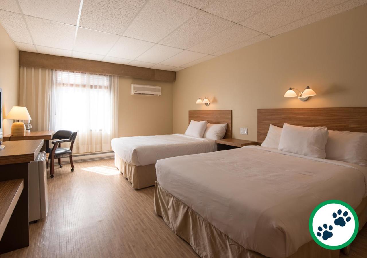 Comfort Quadruple Room