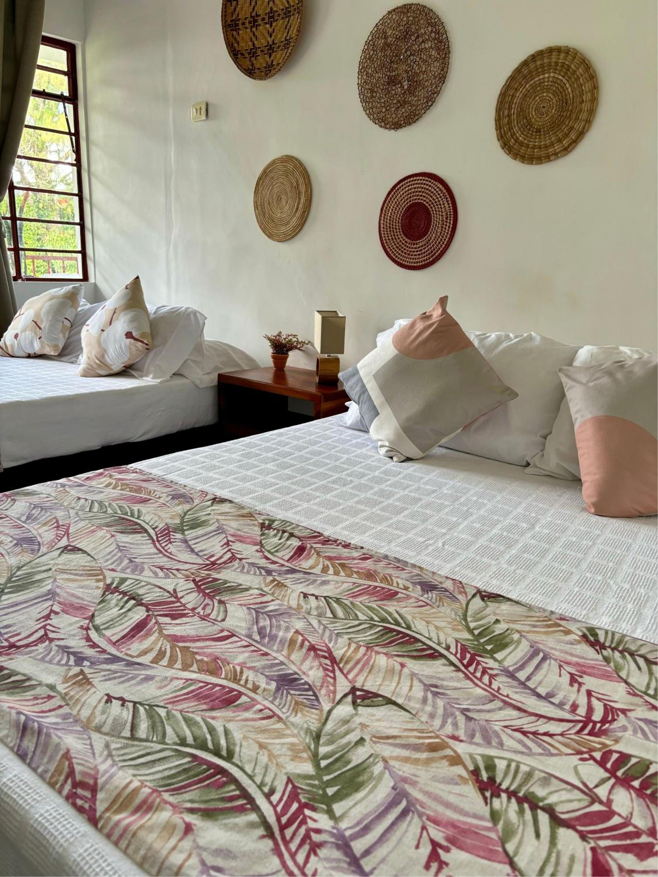 Twin Room photo 2