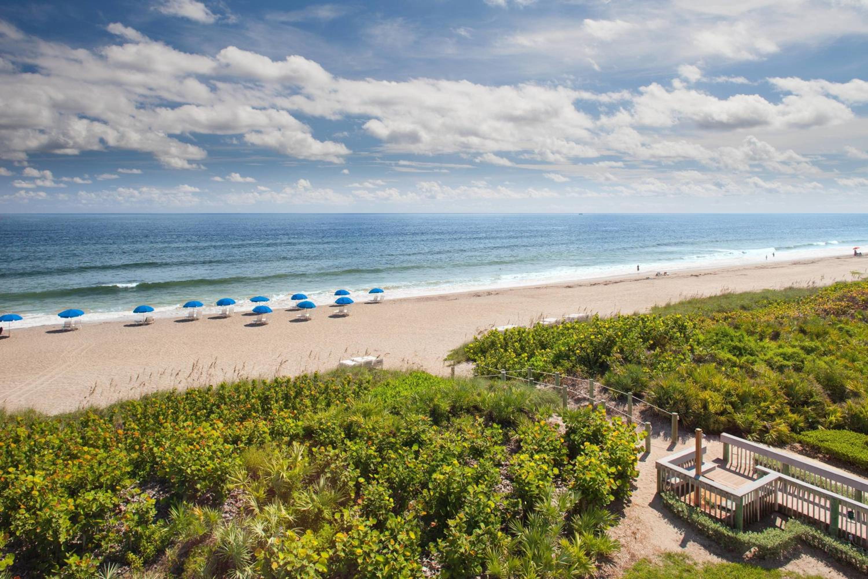 Deluxe One-Bedroom King Condominium with Oceanfront View, Balcony (Beach Villas)  - Photo 6