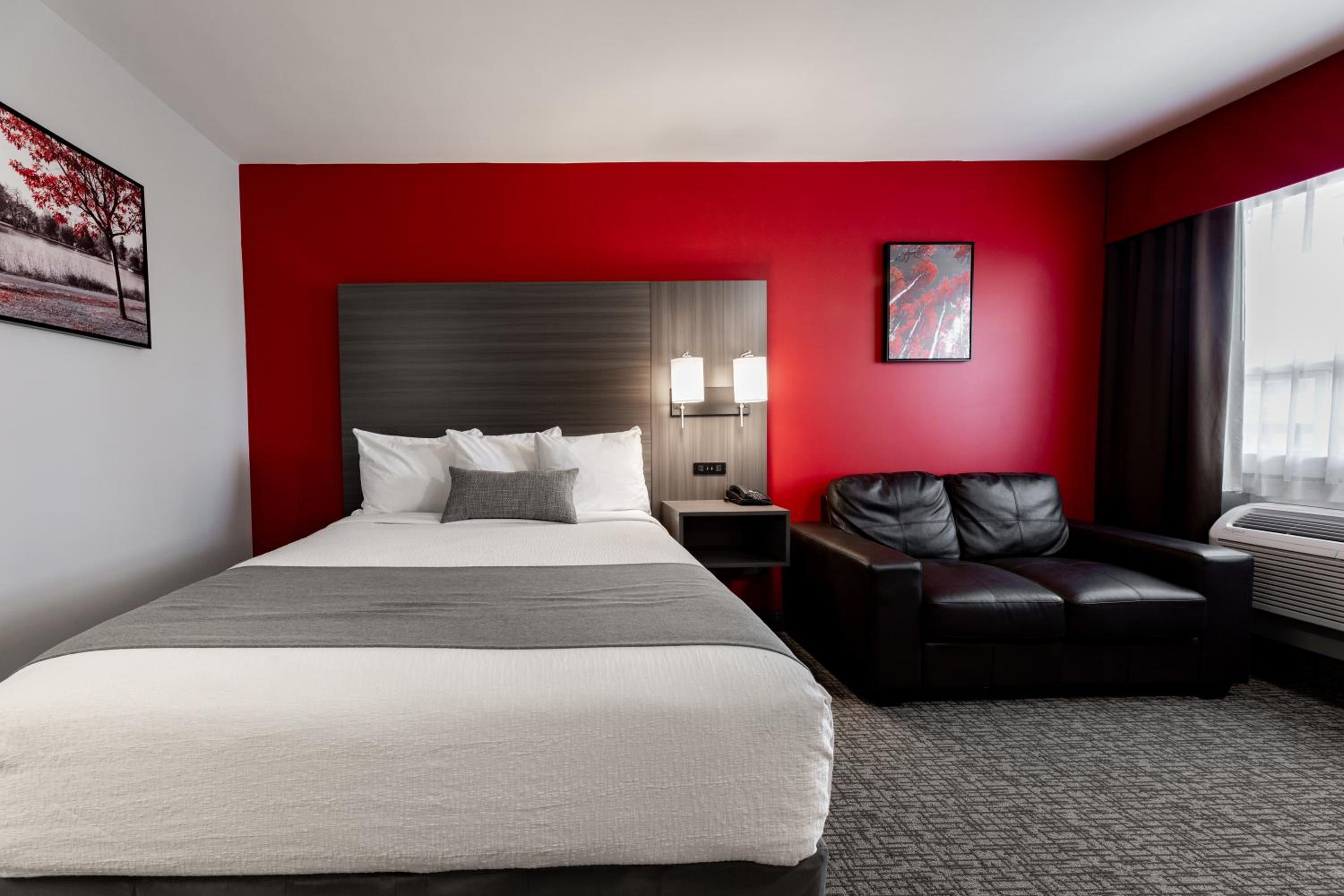 Queen Kitchen - Pet-Friendly with Exterior Access