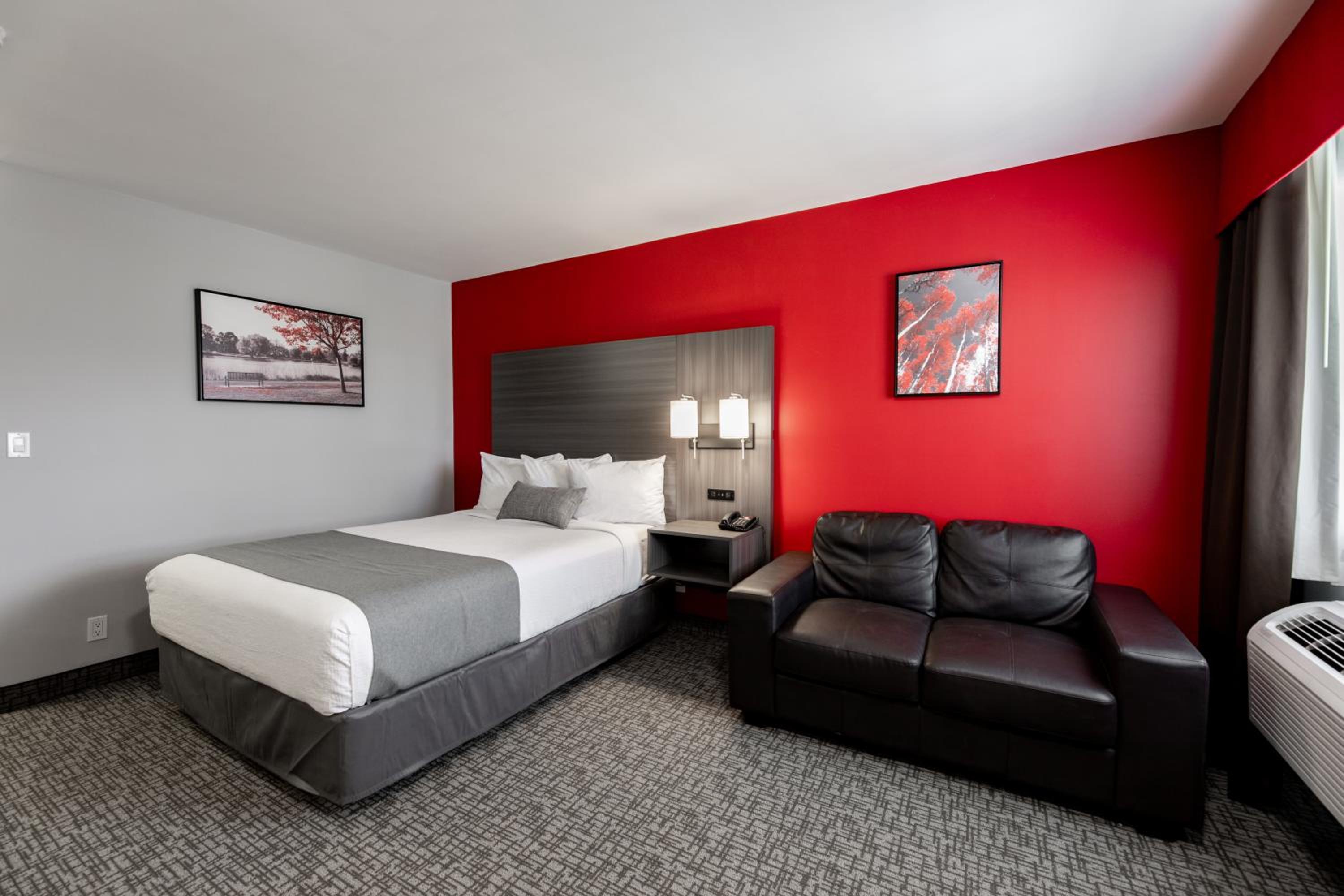 Queen Kitchen - Pet-Friendly with Exterior Access photo 3