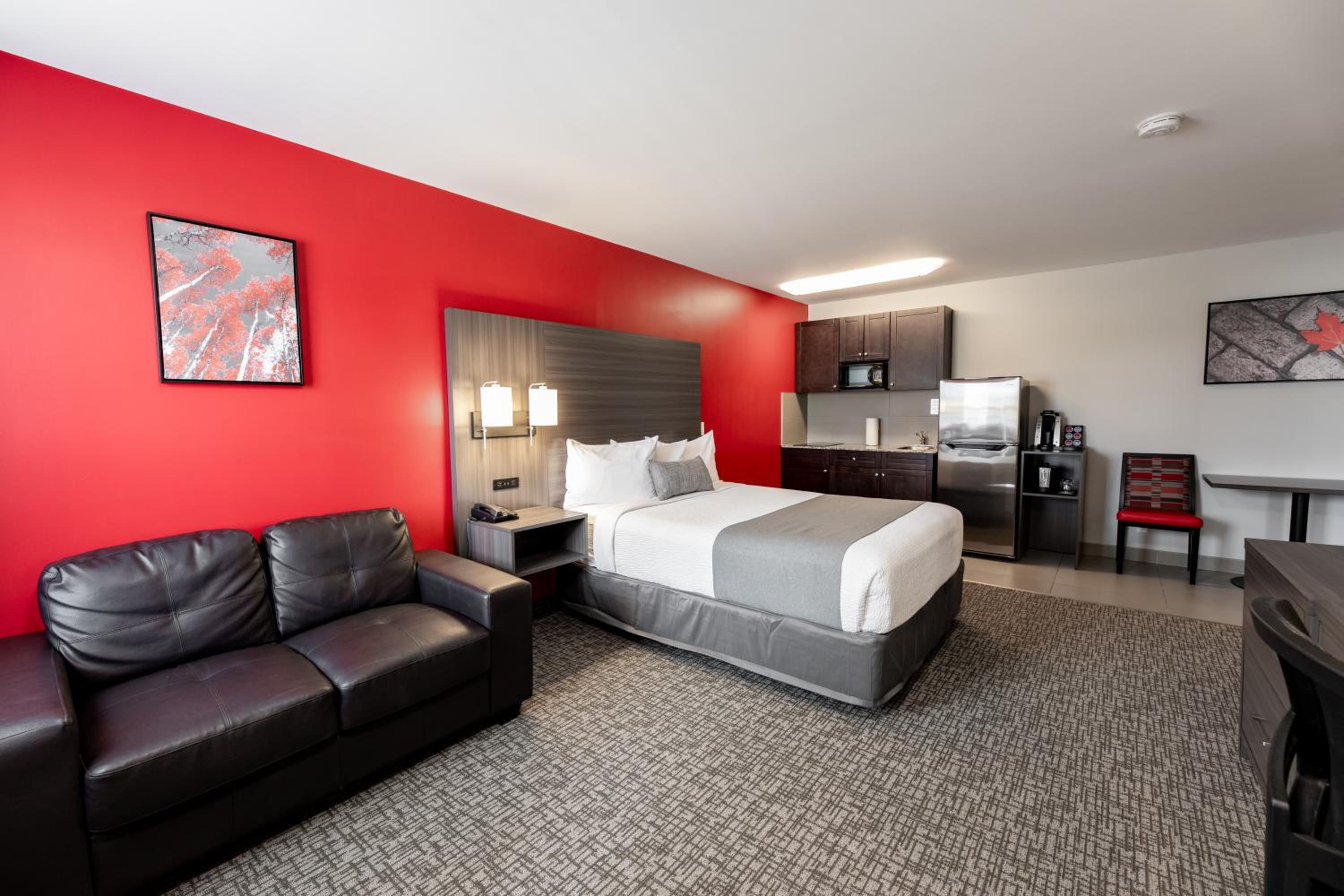 Kitchen Suite - Pet-Friendly with Exterior Access photo 2