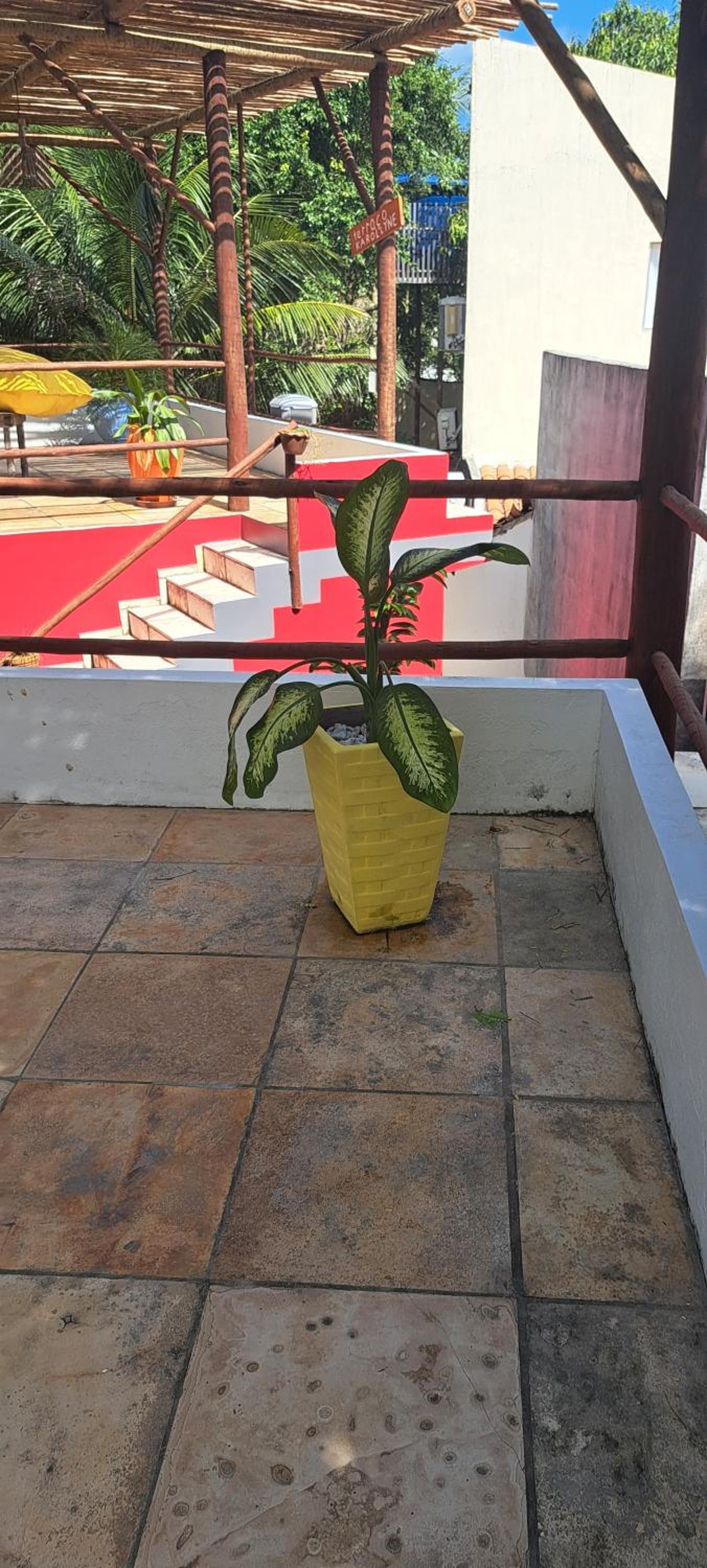 Deluxe Bungalow photo 2