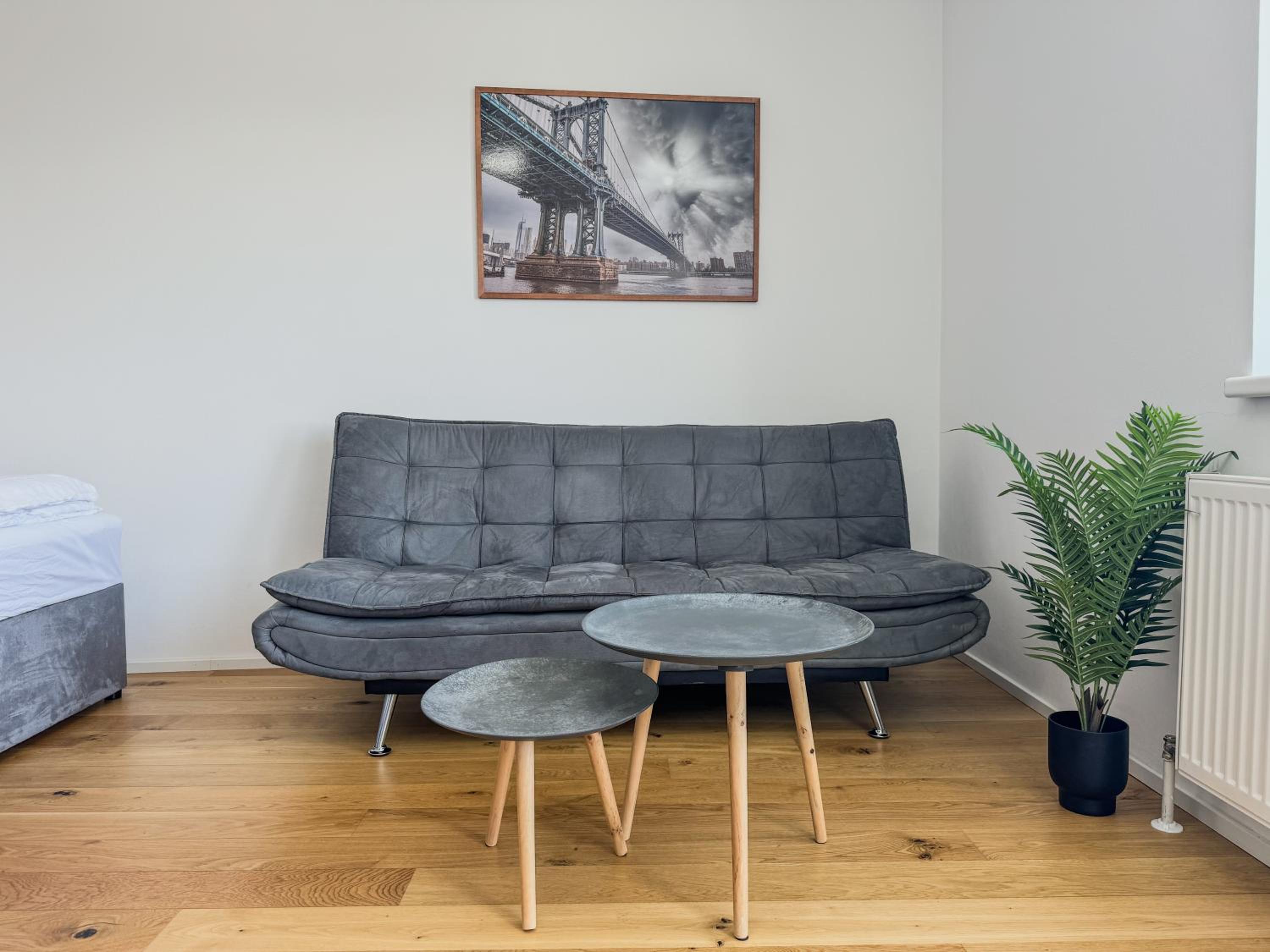 One-Bedroom Apartment photo 3