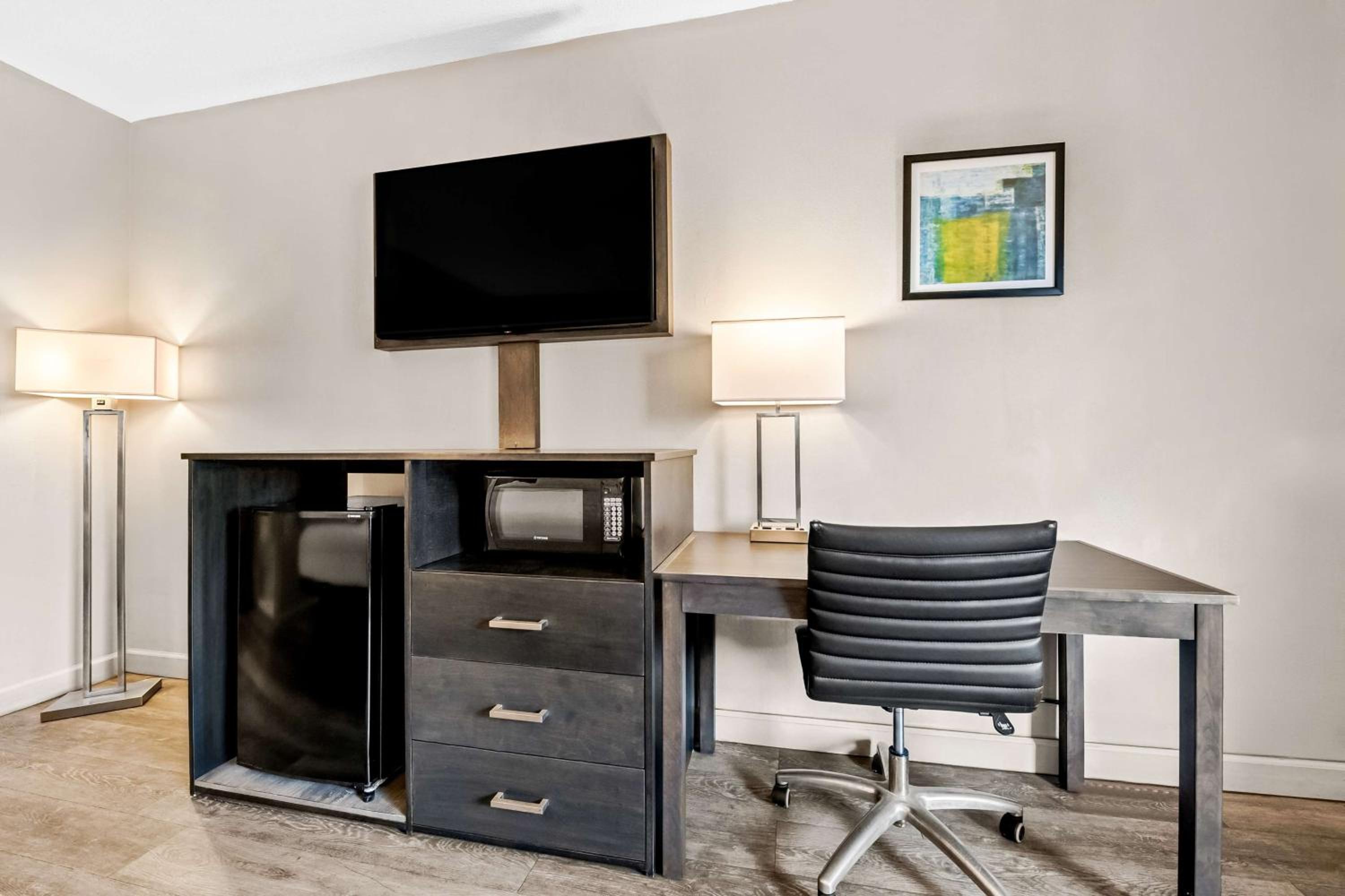 King Room - Pet Friendly/Non-Smoking - Photo 4