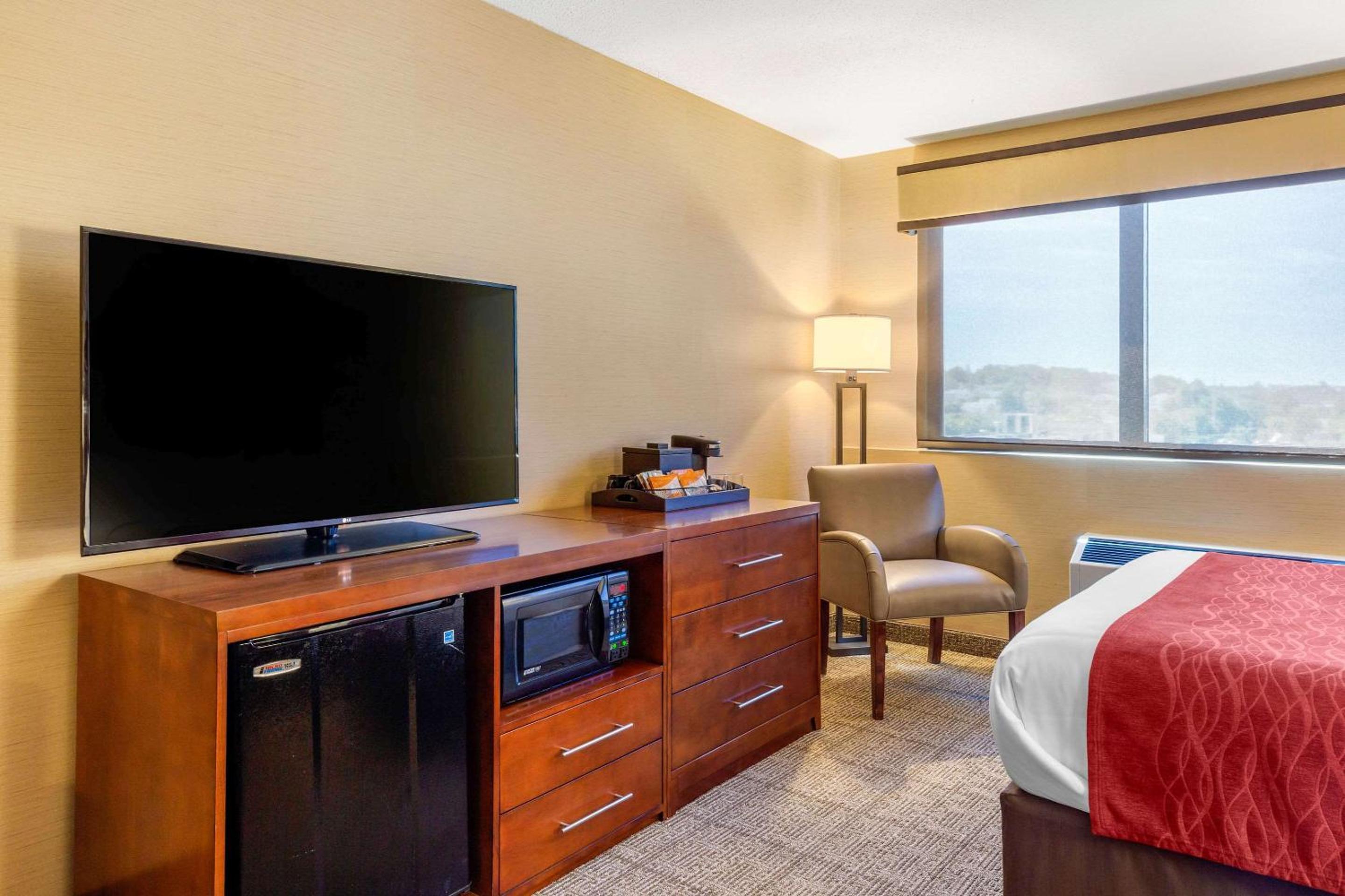 Queen Suite with Sofa Bed