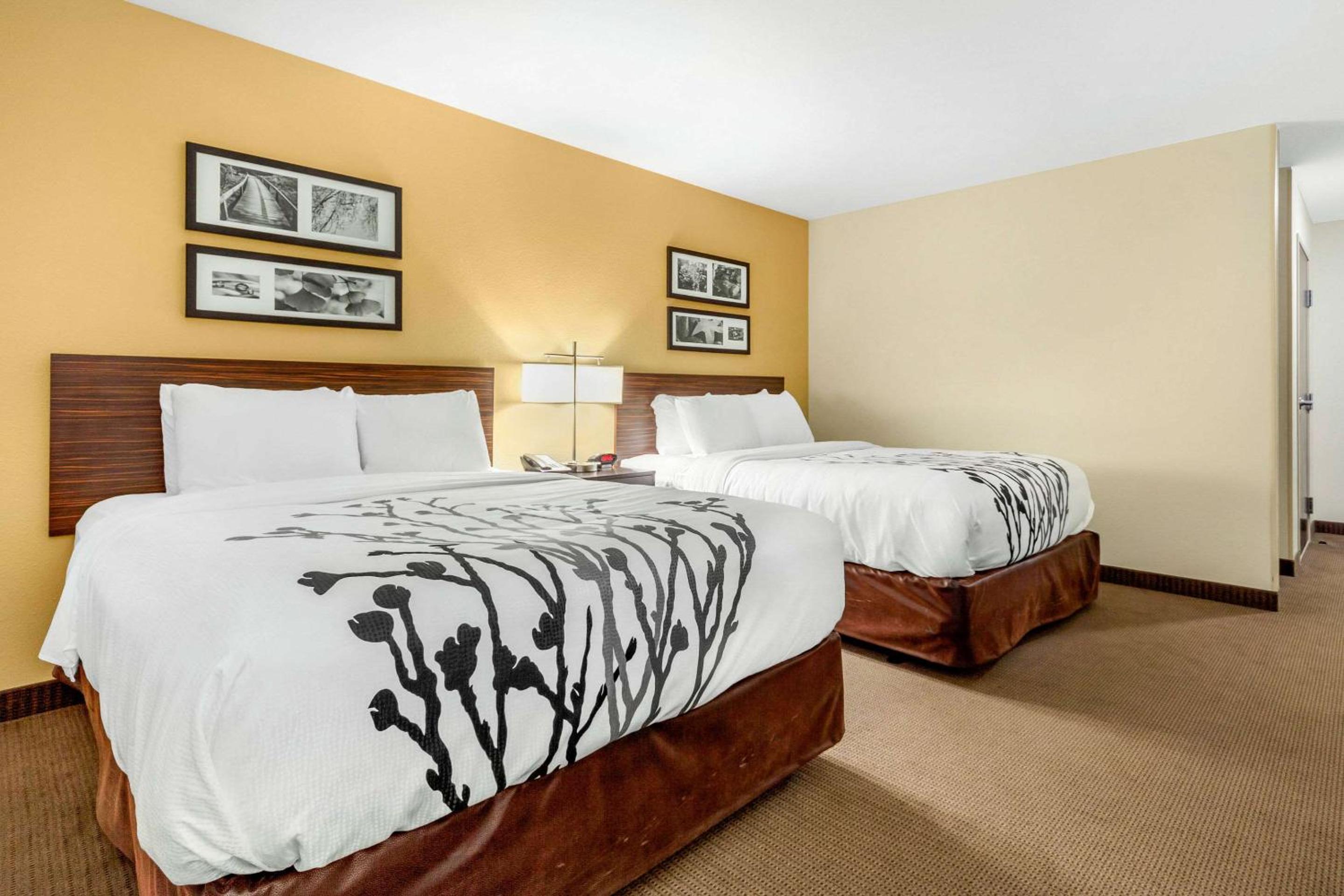 Queen Suite with Two Queen Beds - Accessible/Non-Smoking photo 1