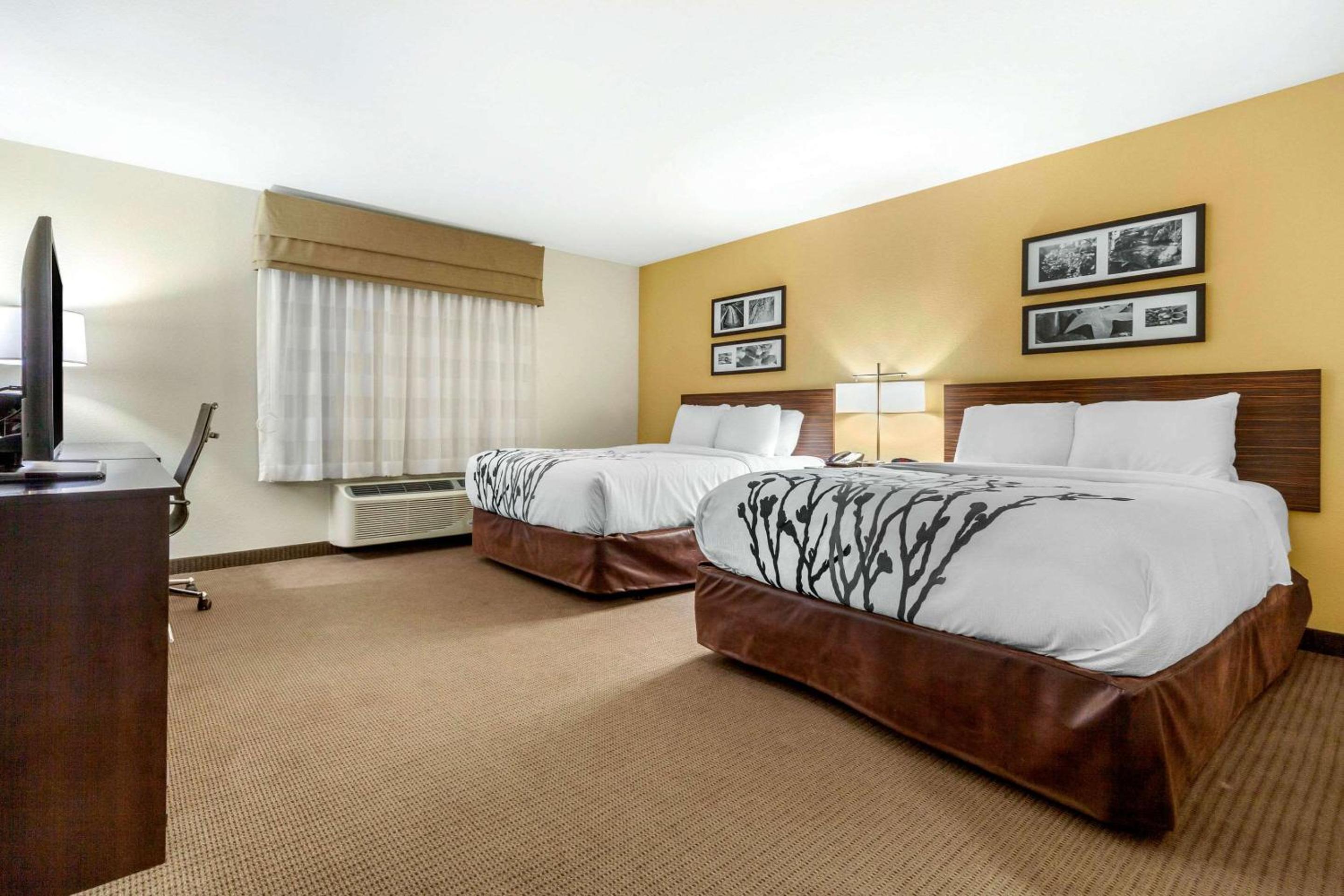 Queen Suite with Two Queen Beds - Accessible/Non-Smoking photo 2
