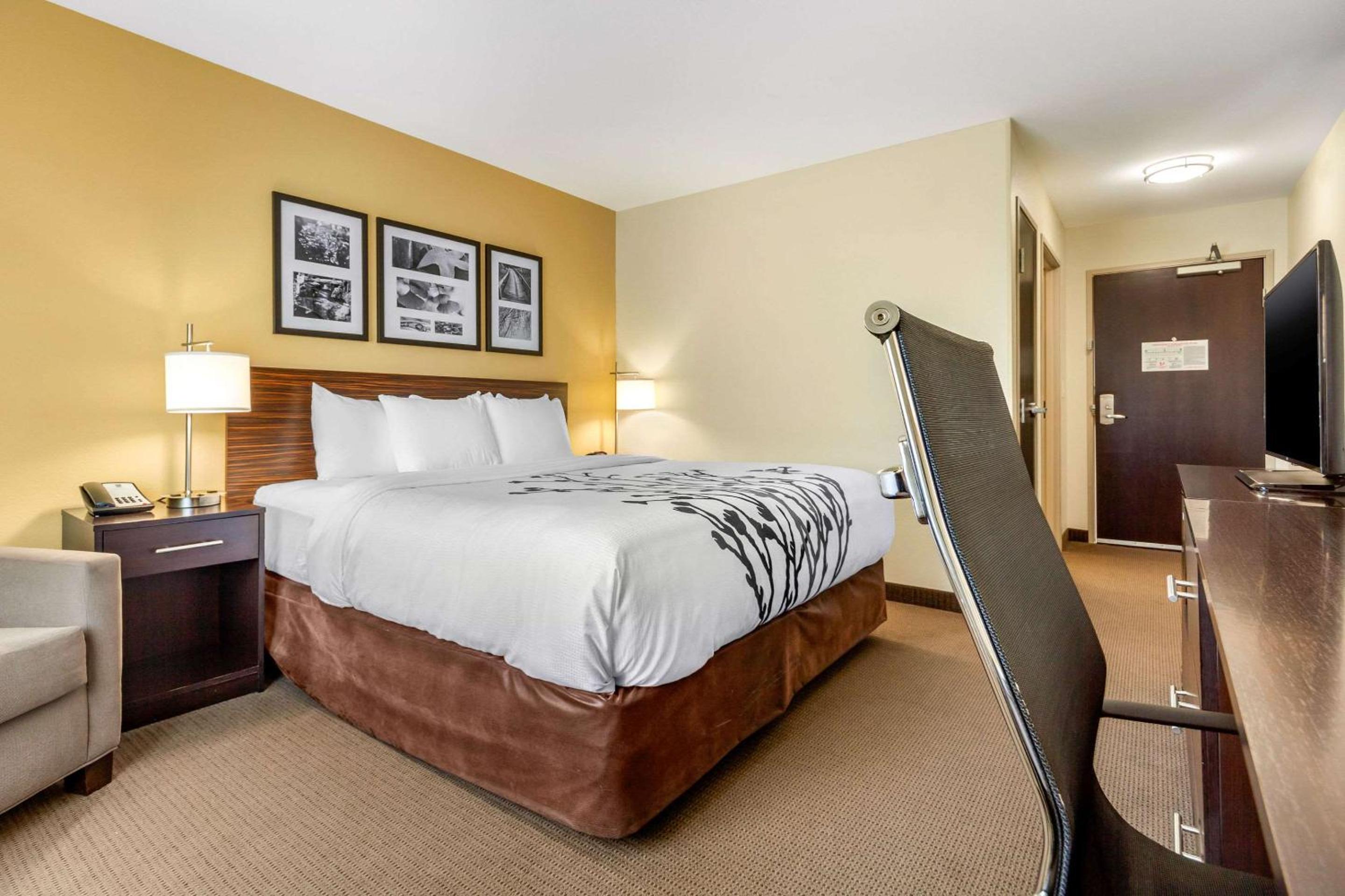 King Room - Hearing Accessible/Non-Smoking  photo 1