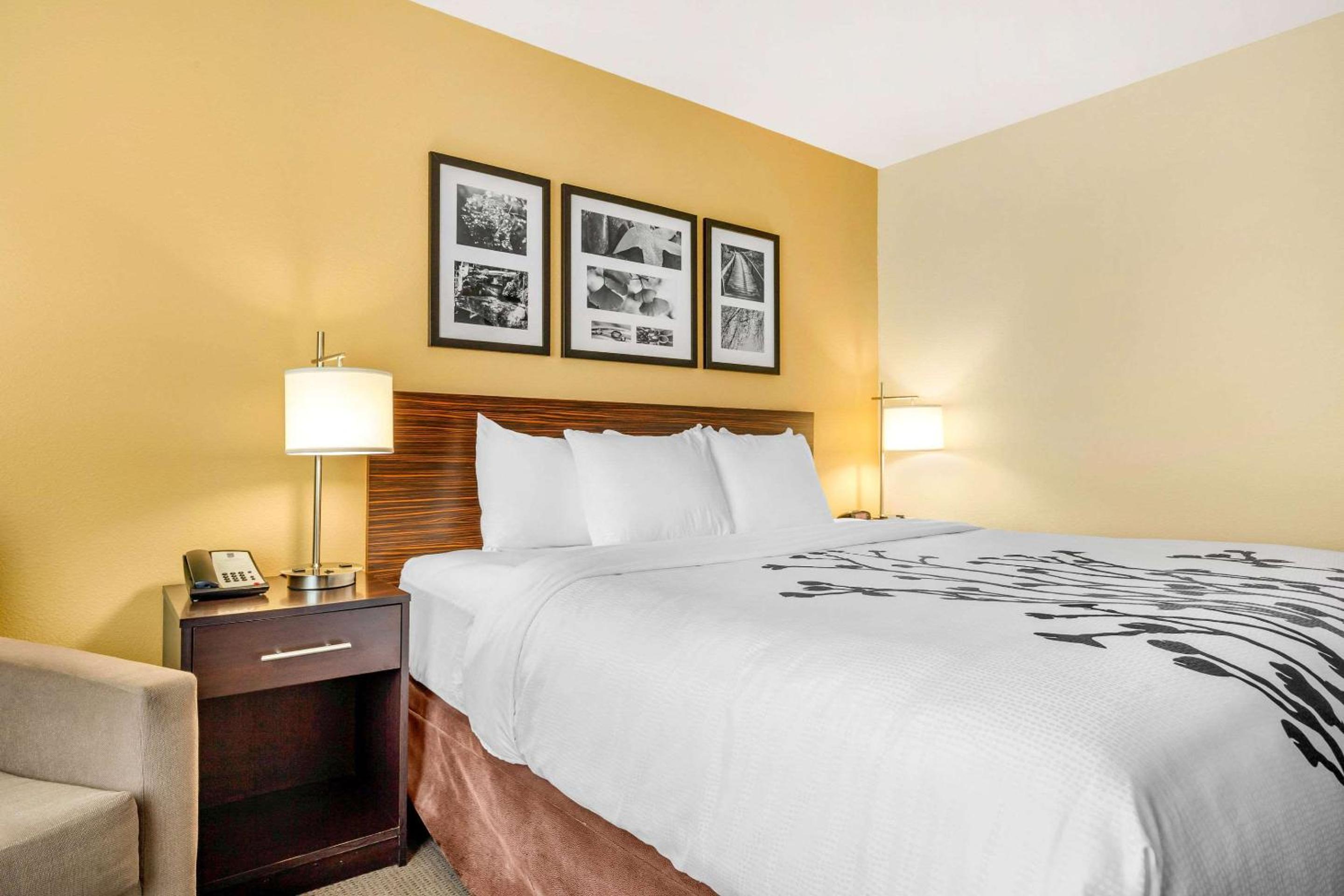 King Room - Hearing Accessible/Non-Smoking  photo 3