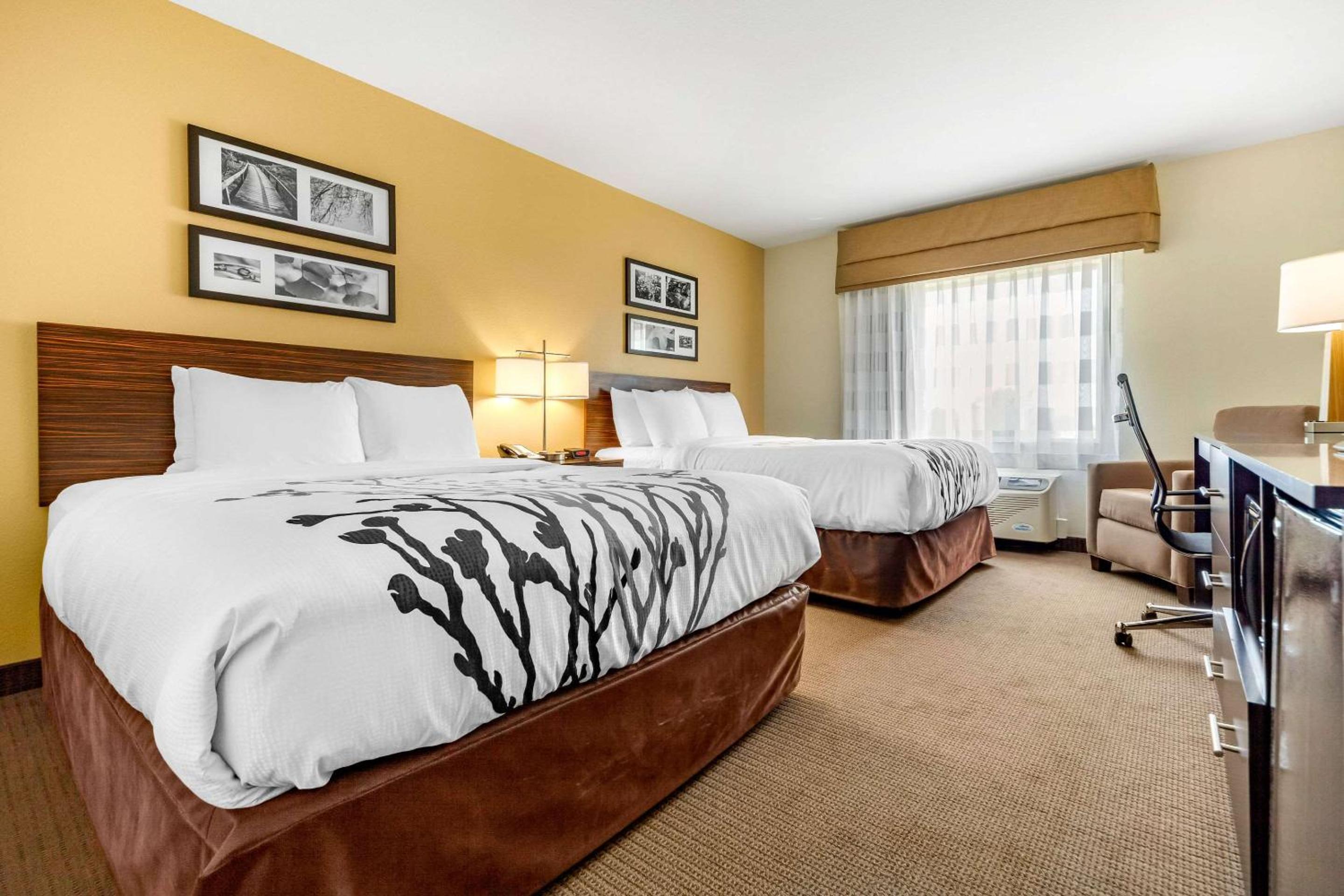 Queen Room with Two Queen Beds - Non-Smoking photo 2