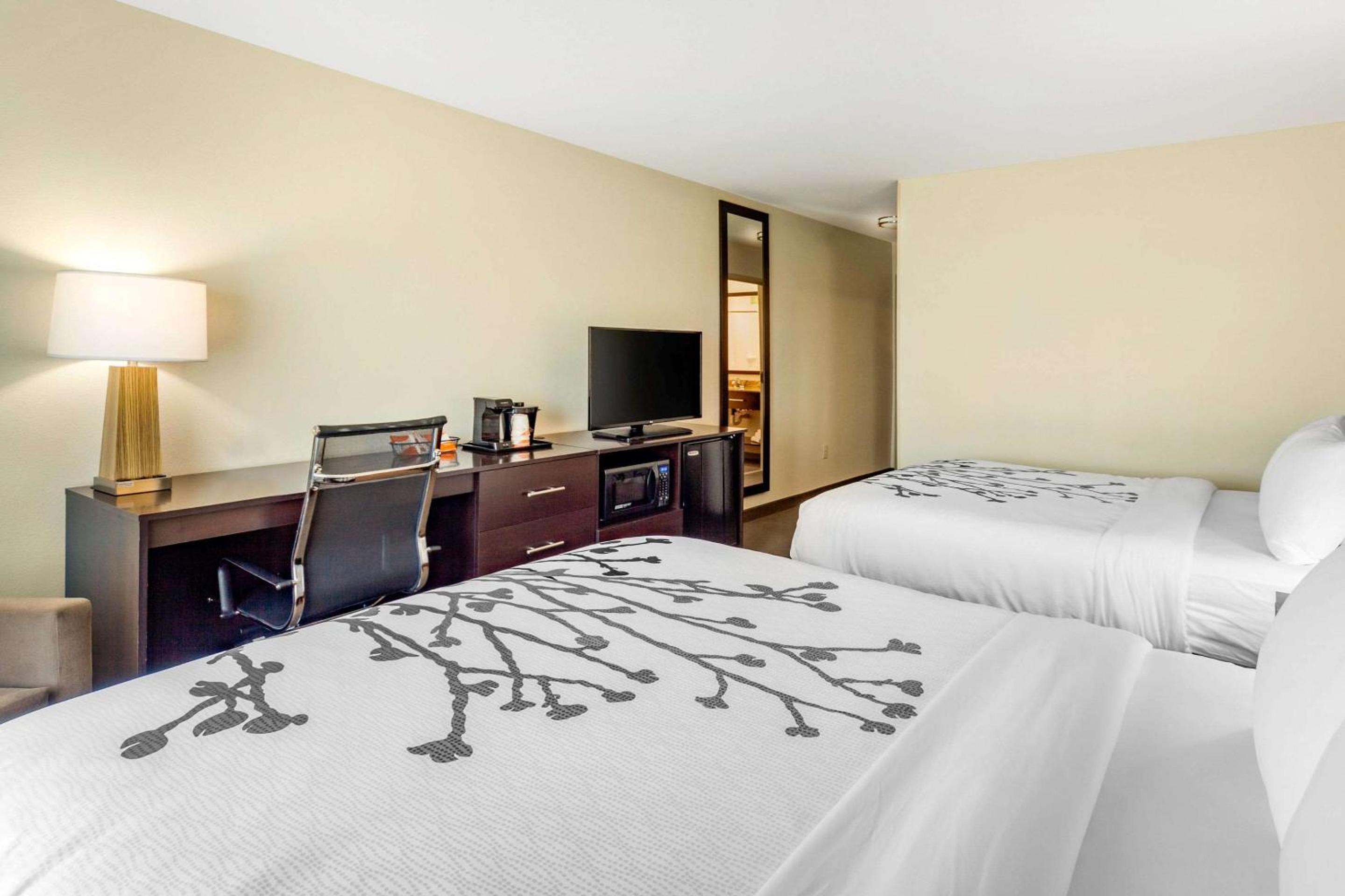 Queen Room with Two Queen Beds - Hearing/Visual Accessible - Non-Smoking photo 2