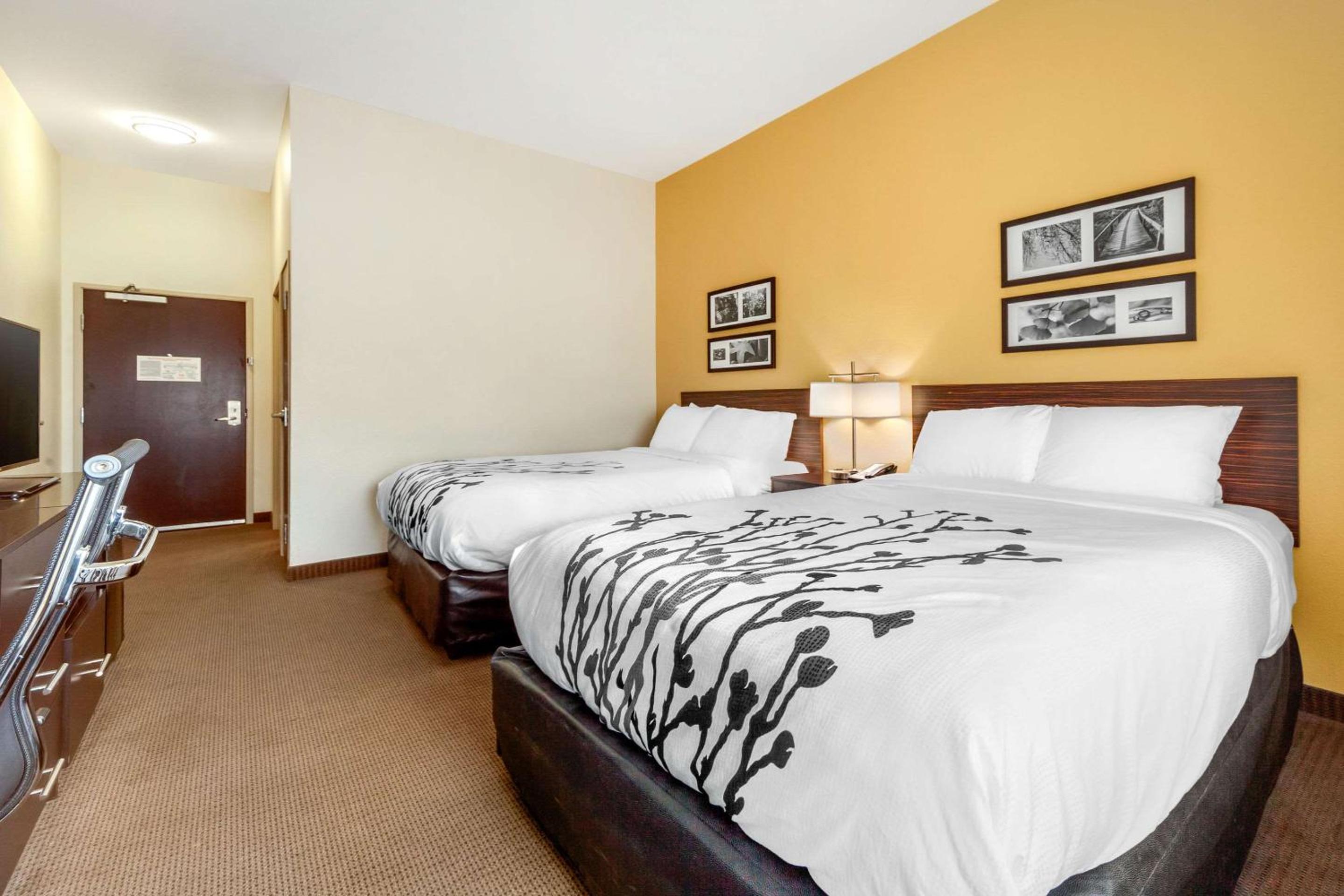 Queen Room with Two Queen Beds - Non-Smoking