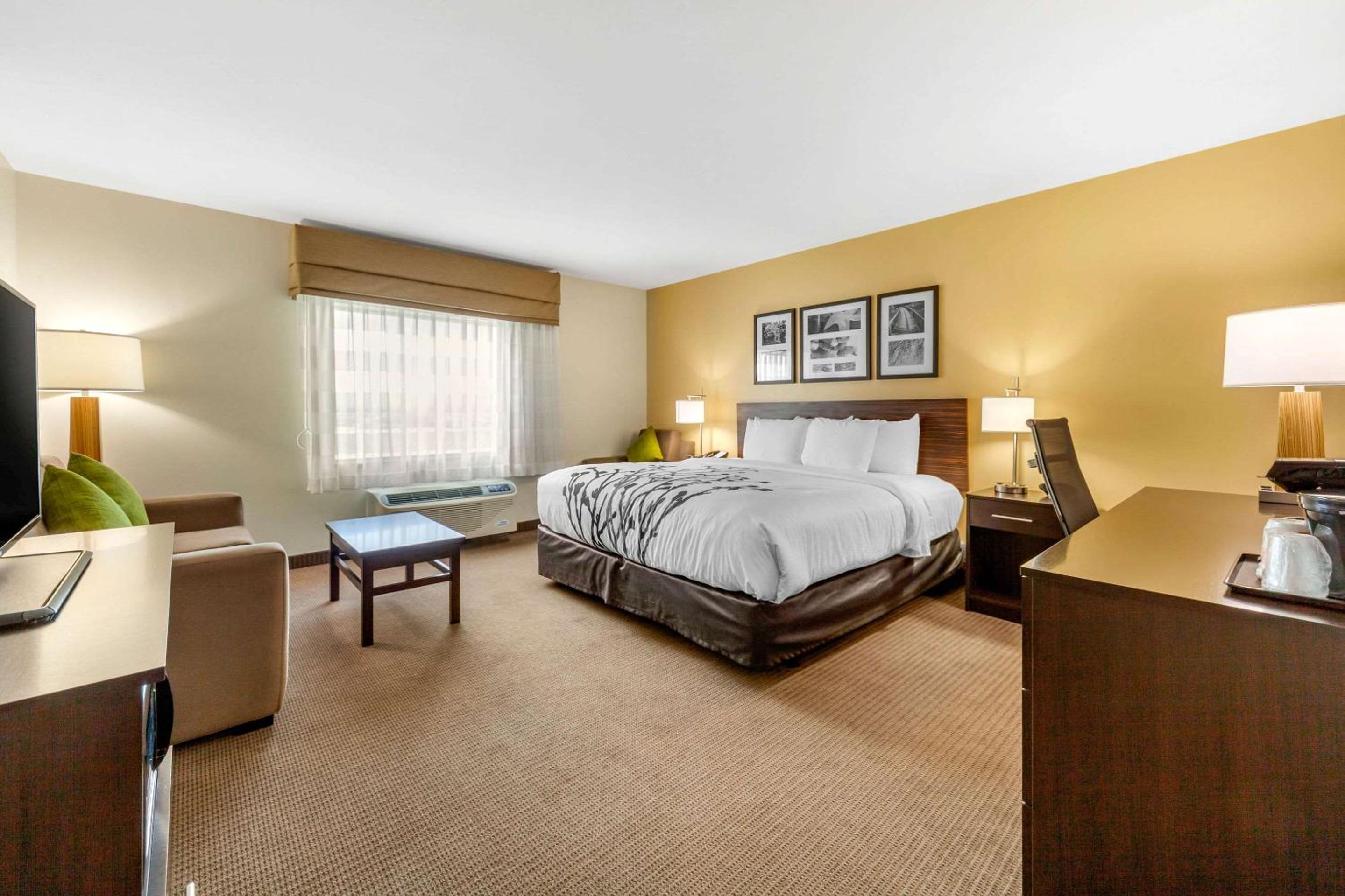 King Room - Hearing Accessible/Non-Smoking  photo 2