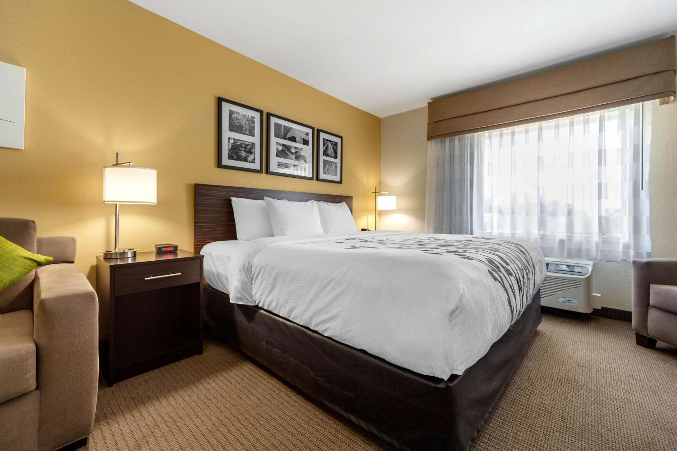 King Suite - Hearing Accessible/Non-Smoking photo 2
