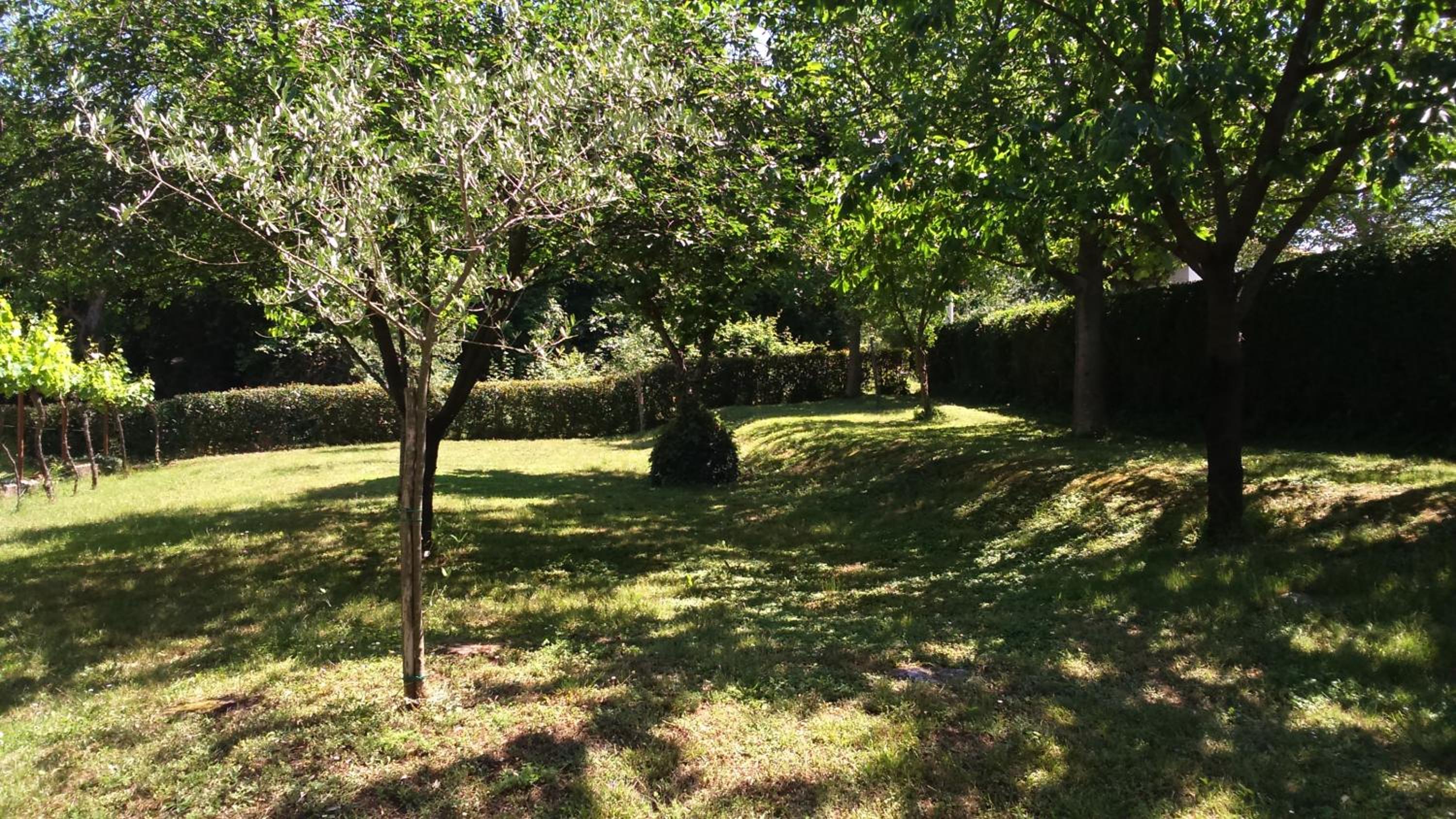 Studio with Terrace - Photo 11