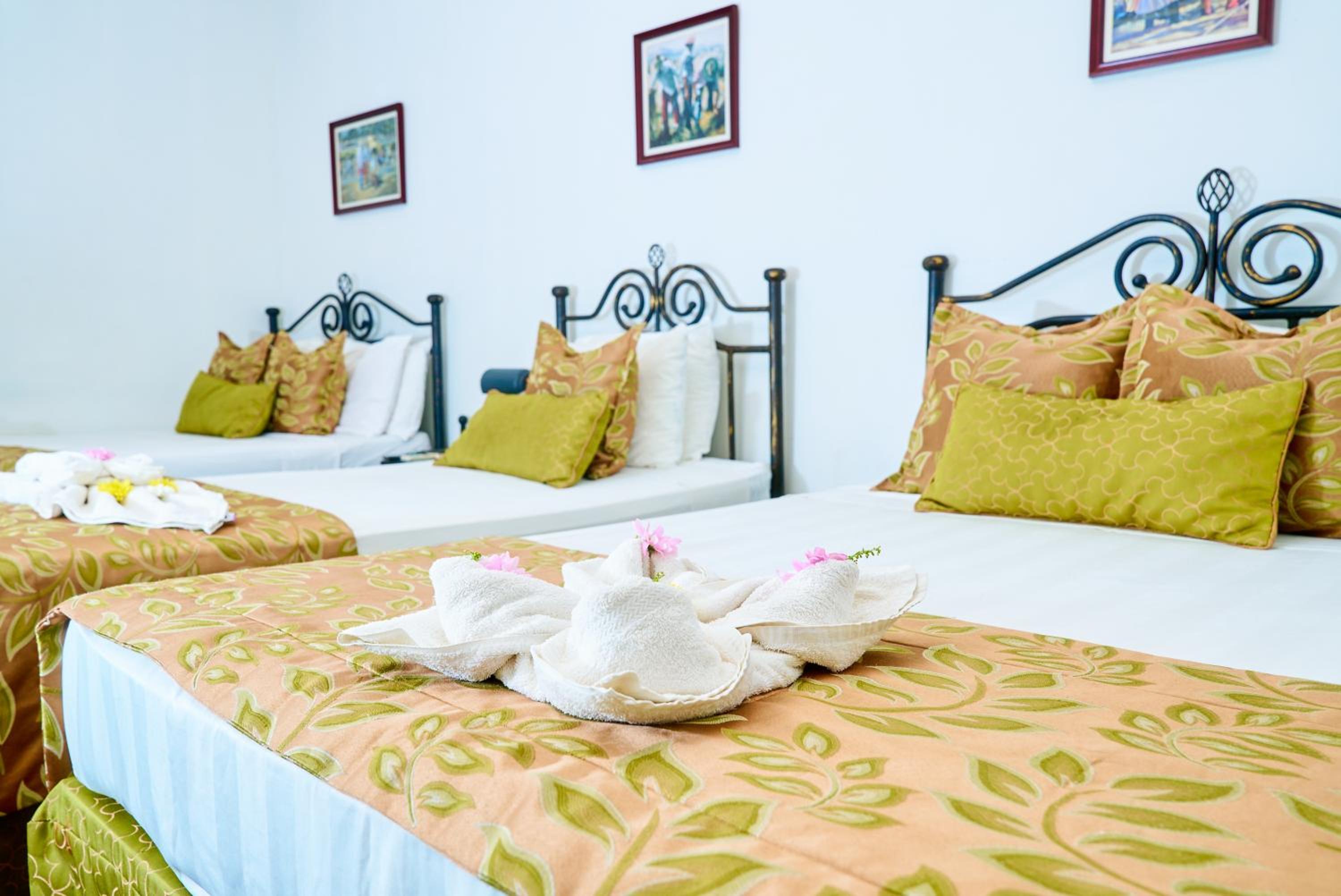 Triple Room photo 1