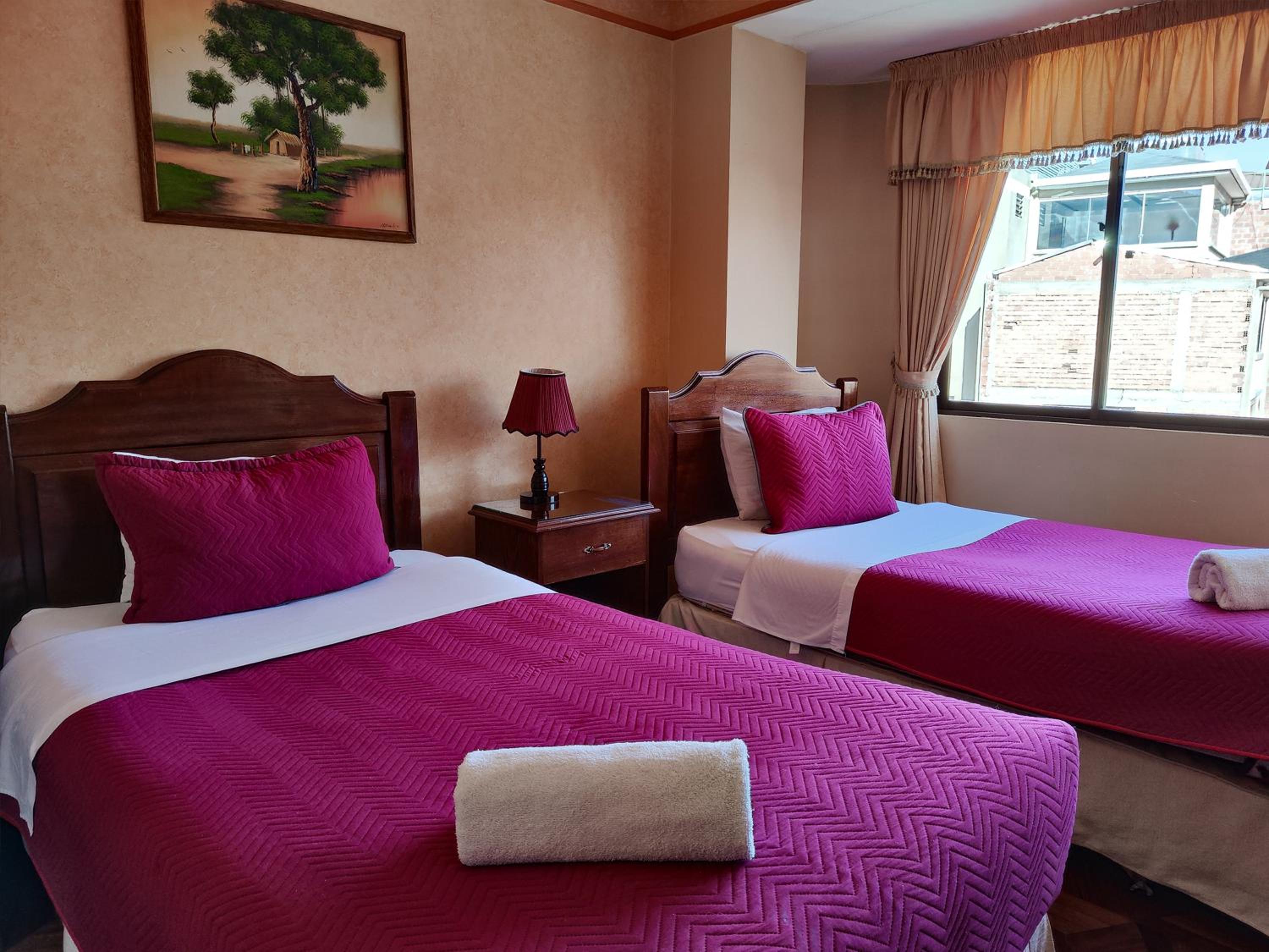 Twin Room with City View photo 2
