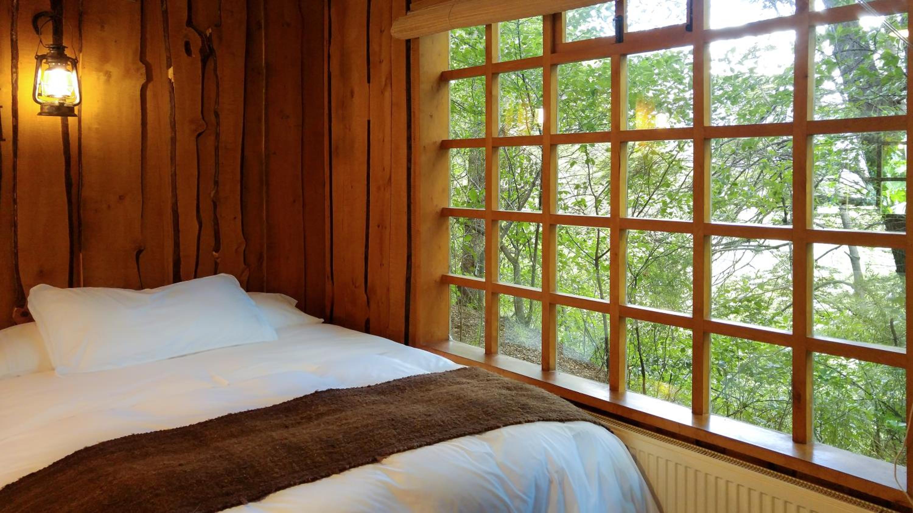 Double Room with Two Double Beds photo 2