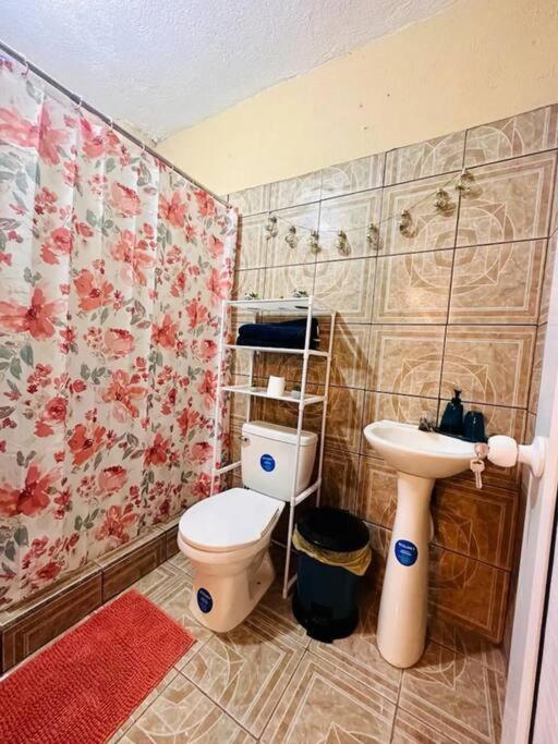Three-Bedroom House photo 3