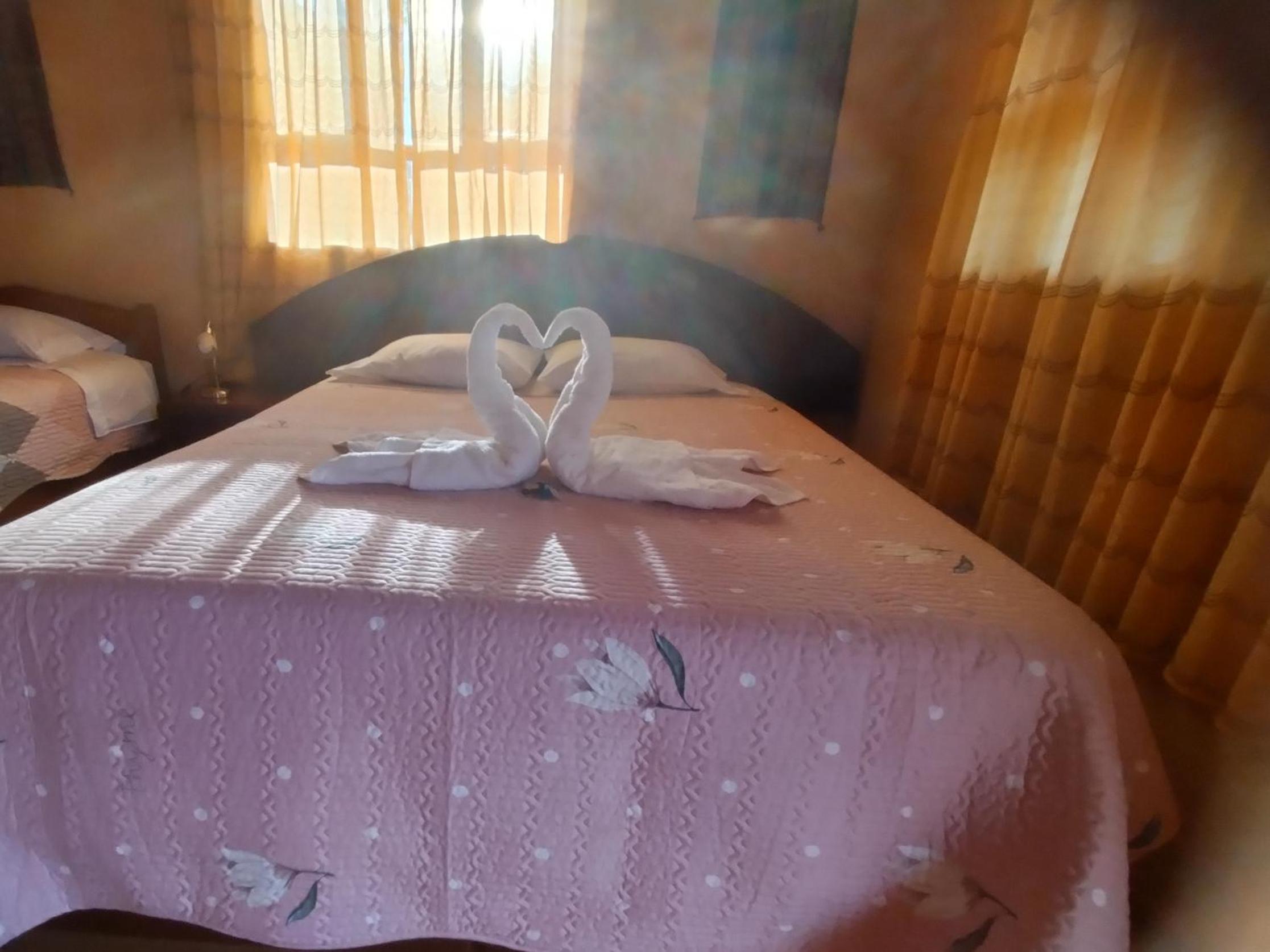Deluxe Double or Twin Room with Mountain View photo 1
