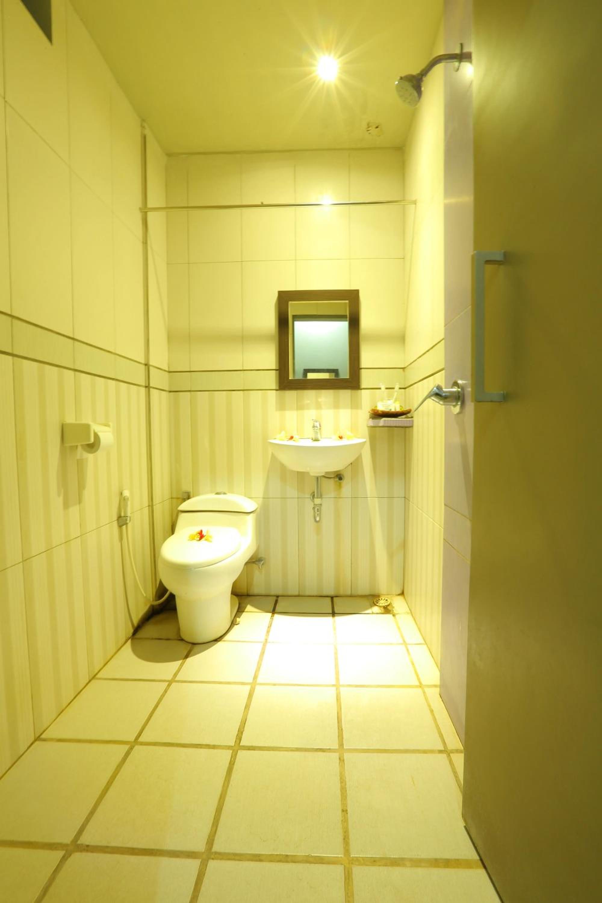 Deluxe Double or Twin Room - Photo 6