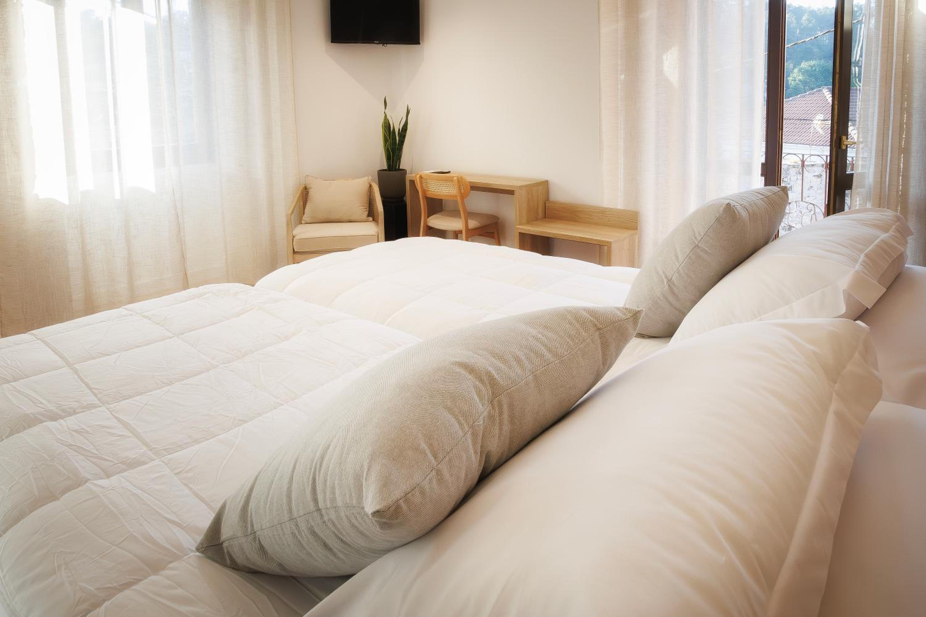 Deluxe Double or Twin Room with Mountain View photo 3