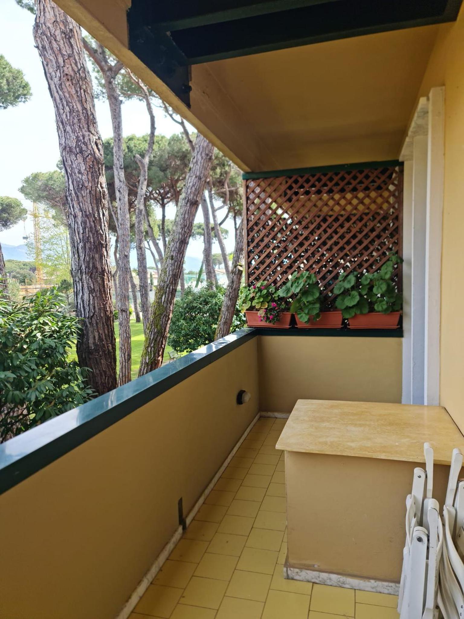 Apartment with View and Balcony photo 2