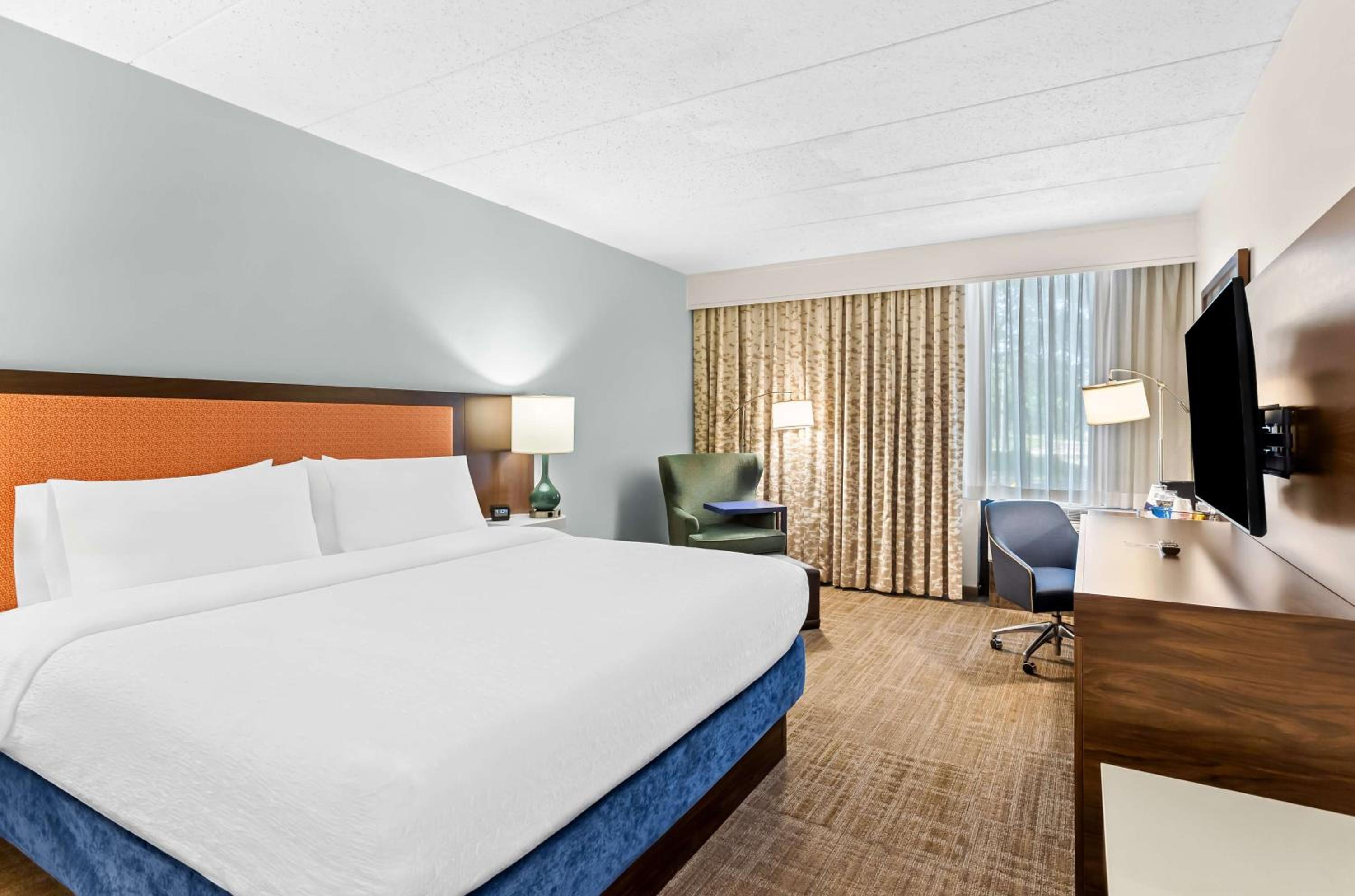 King Room - Non-Smoking - Photo 4