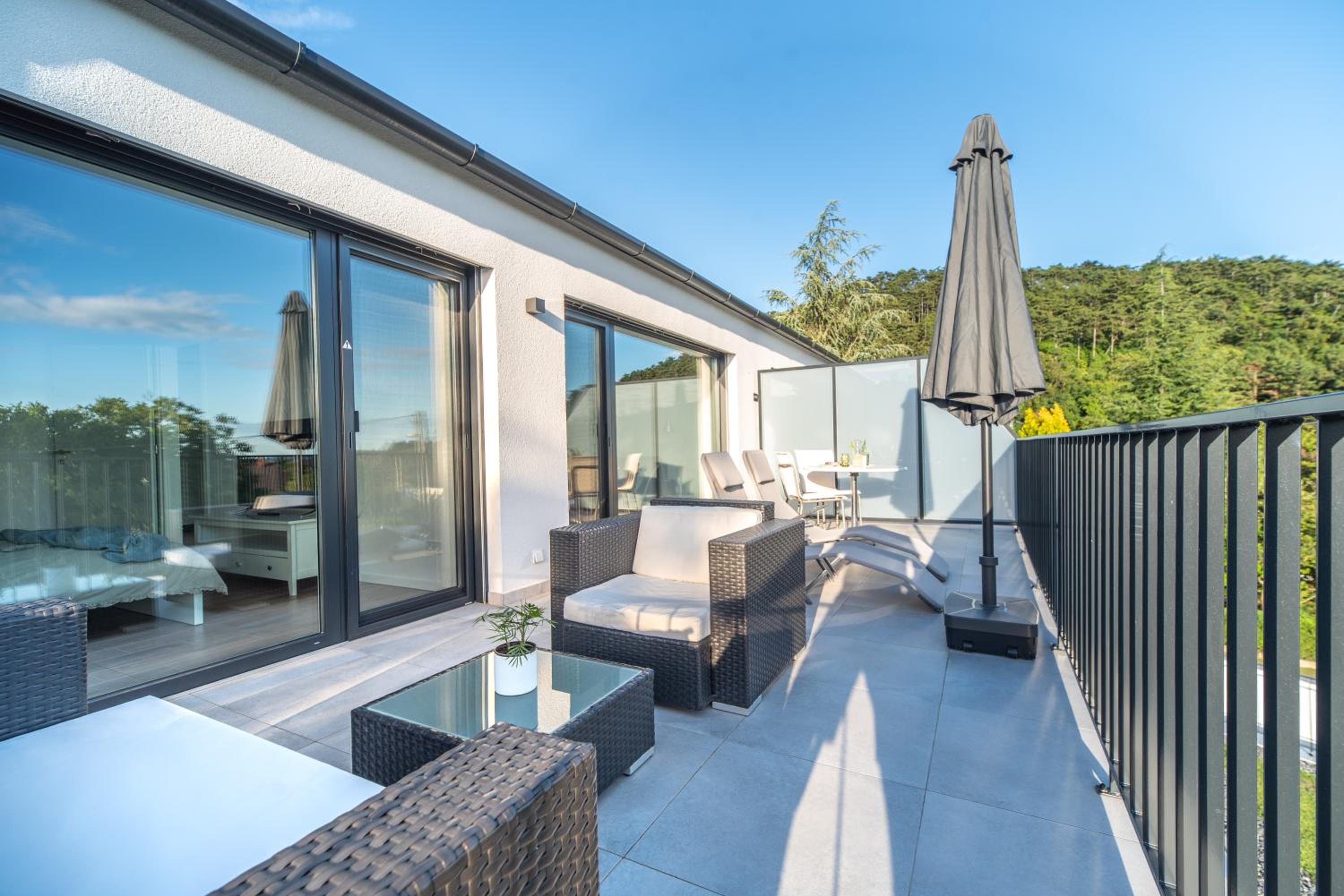 Superior One-Bedroom Apartment with Balcony photo 3