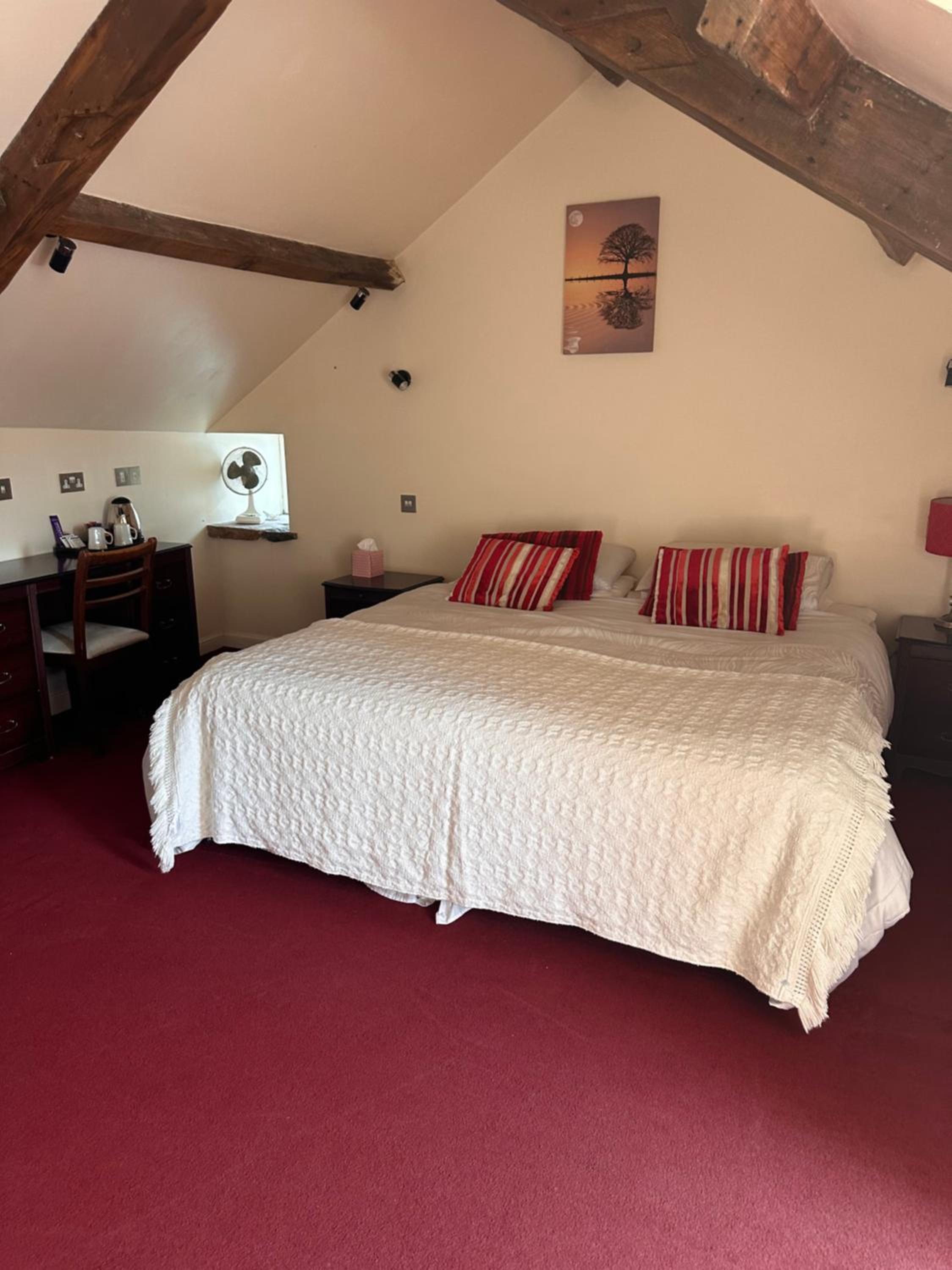 Double Room photo 3