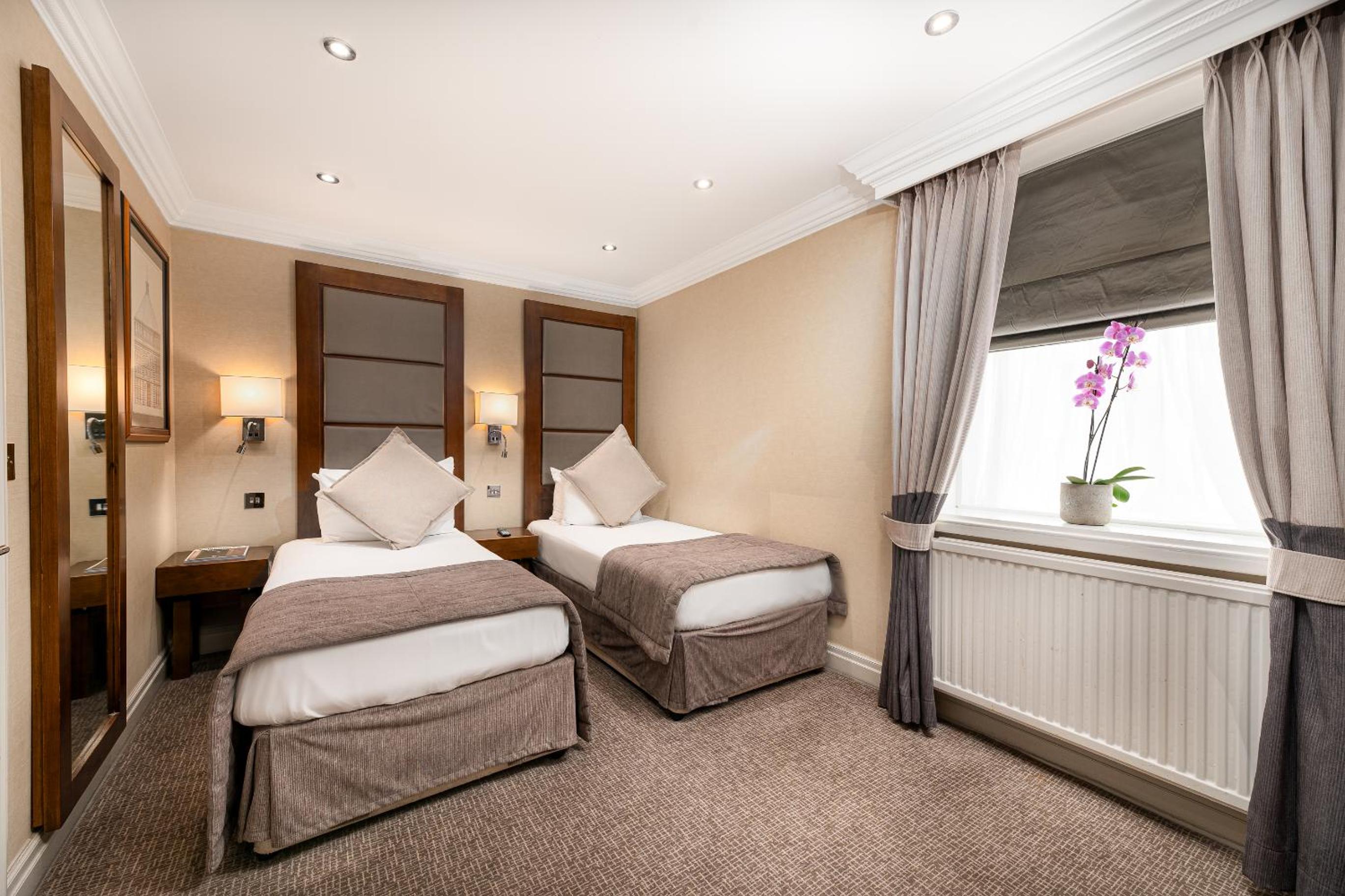Executive Twin Room photo 3