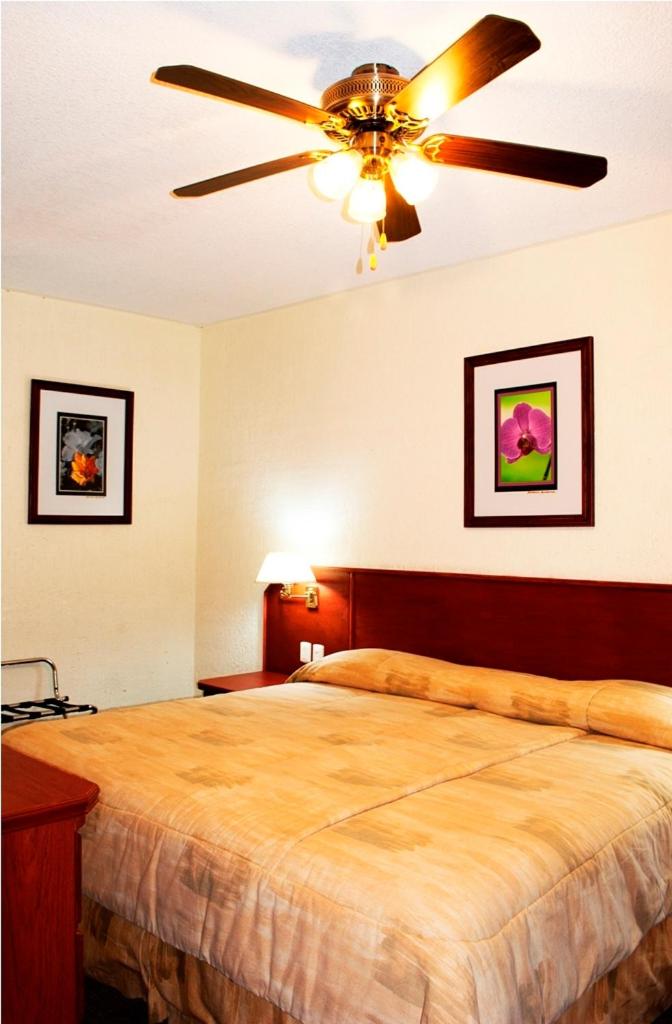 Queen Room photo 3