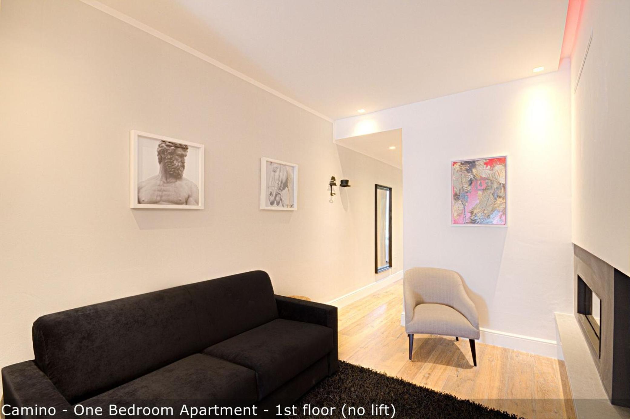 One-Bedroom Apartment photo 3