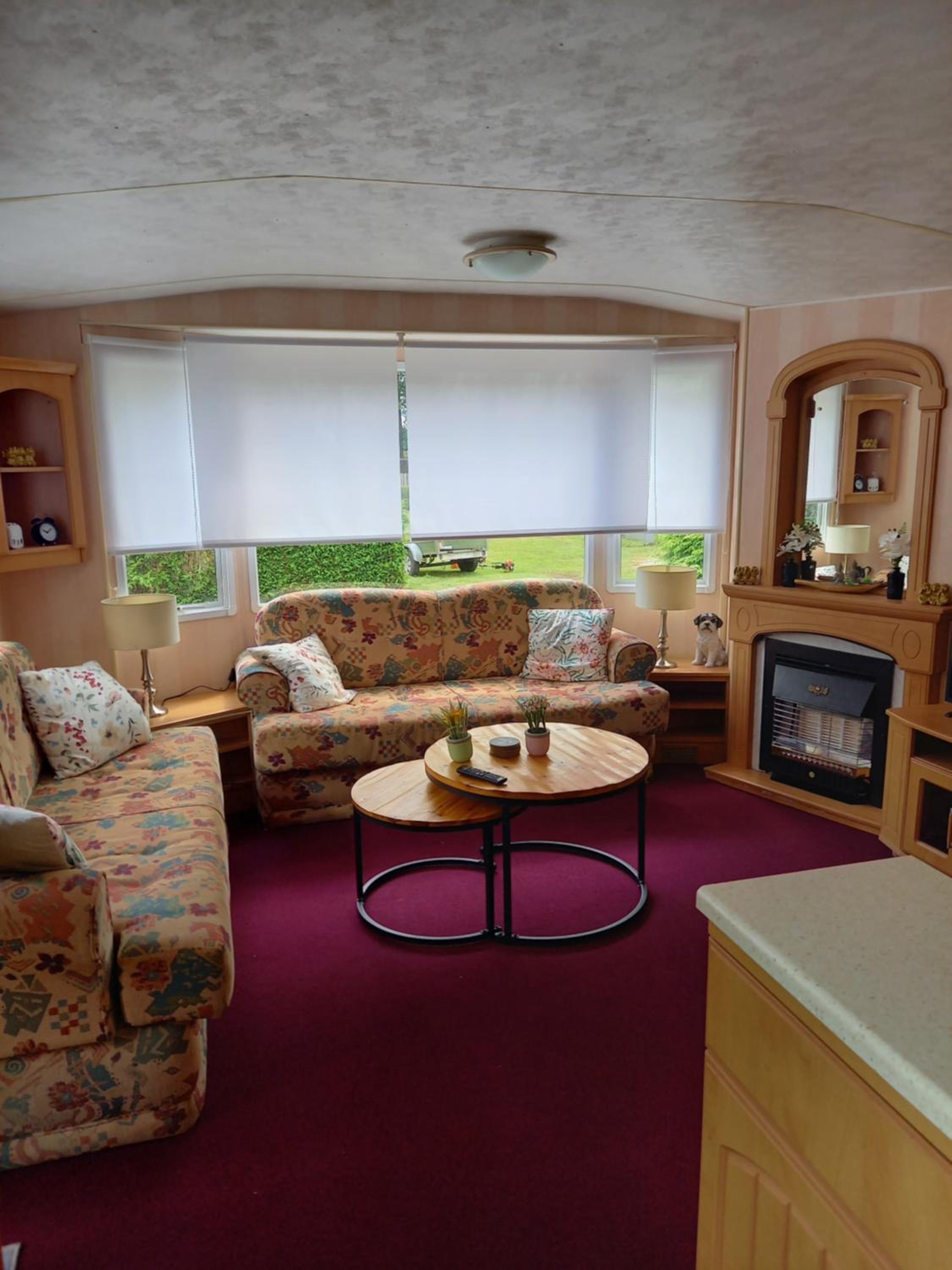 Mobile Home photo 1