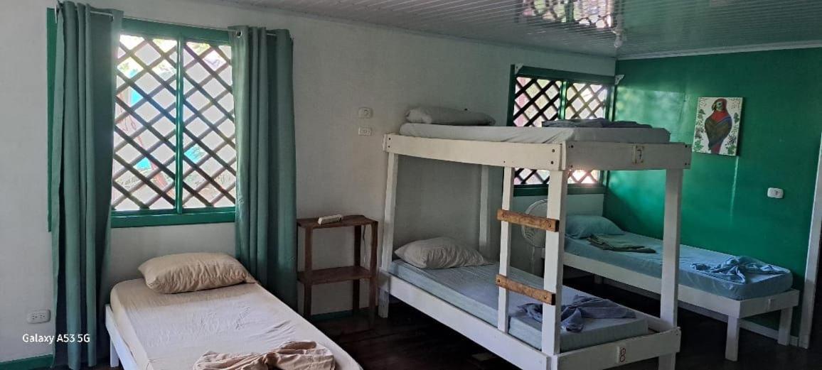 Bunk Bed in Mixed Dormitory Room photo 3
