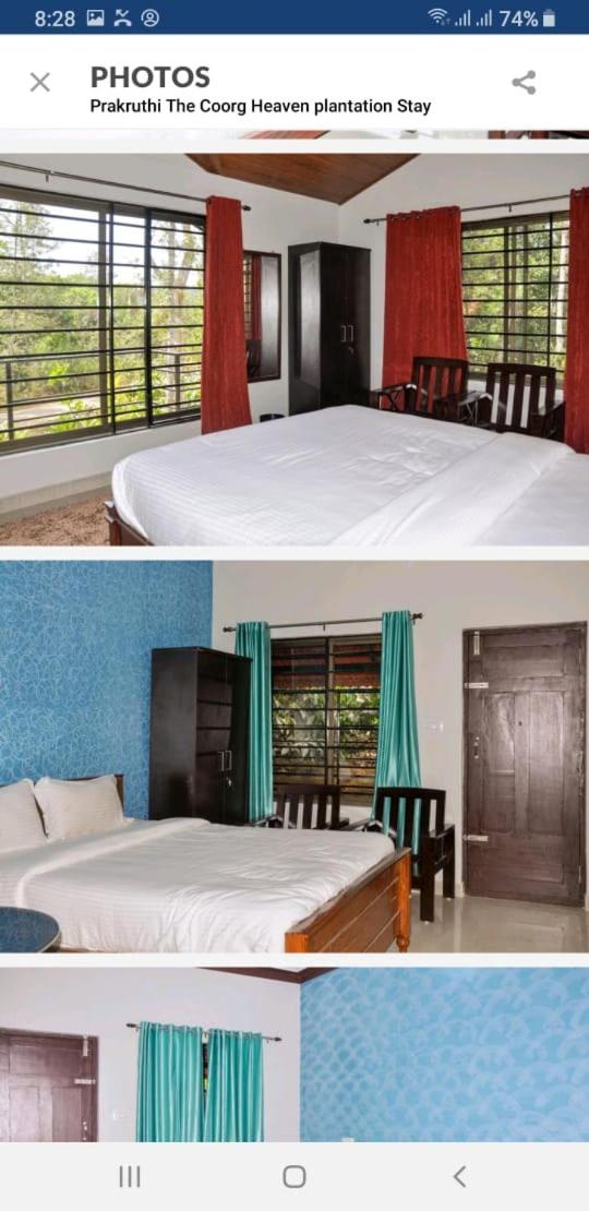 Double Room With Garden View photo 1
