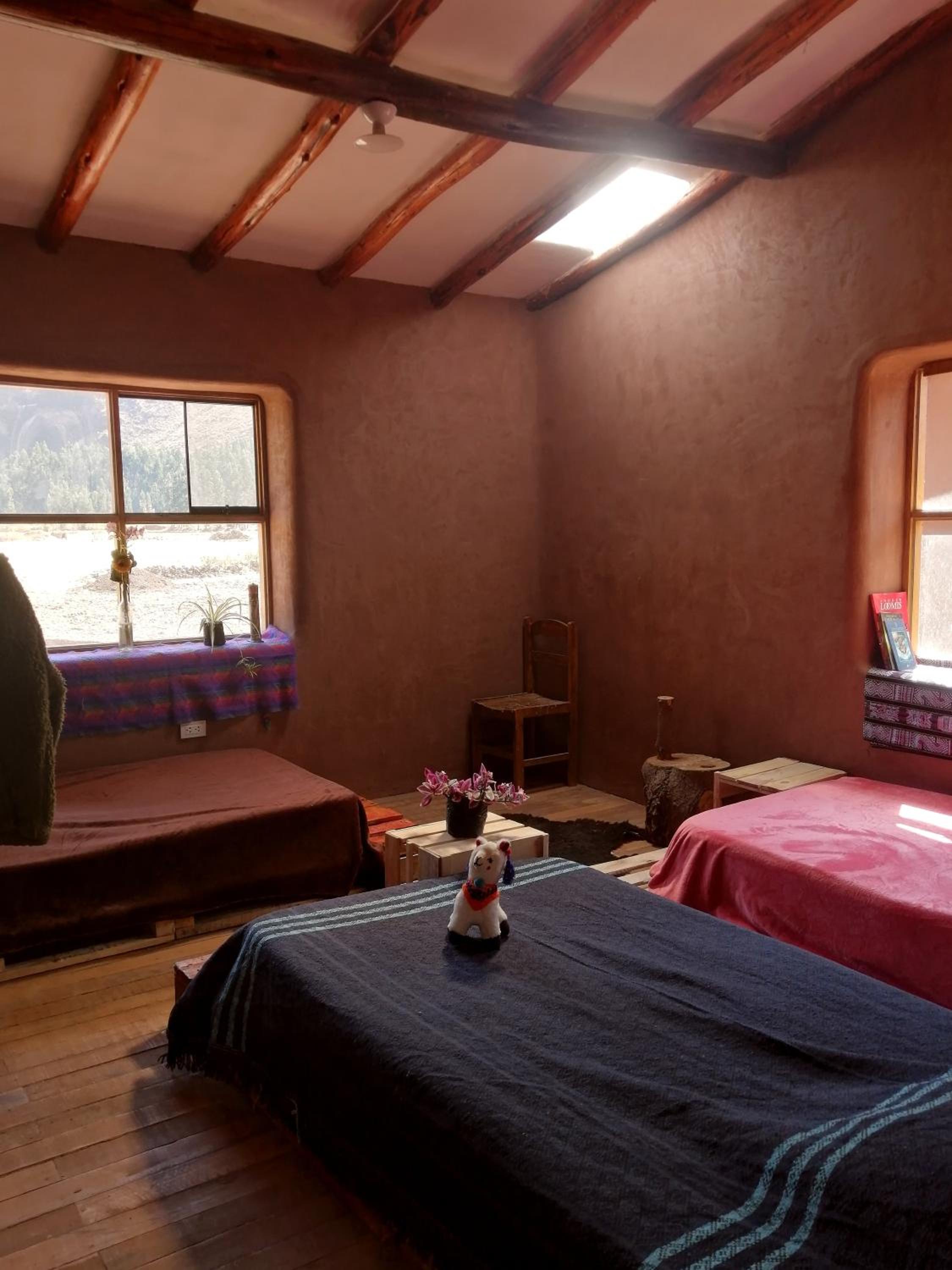 Single Bed in Dormitory Room photo 1