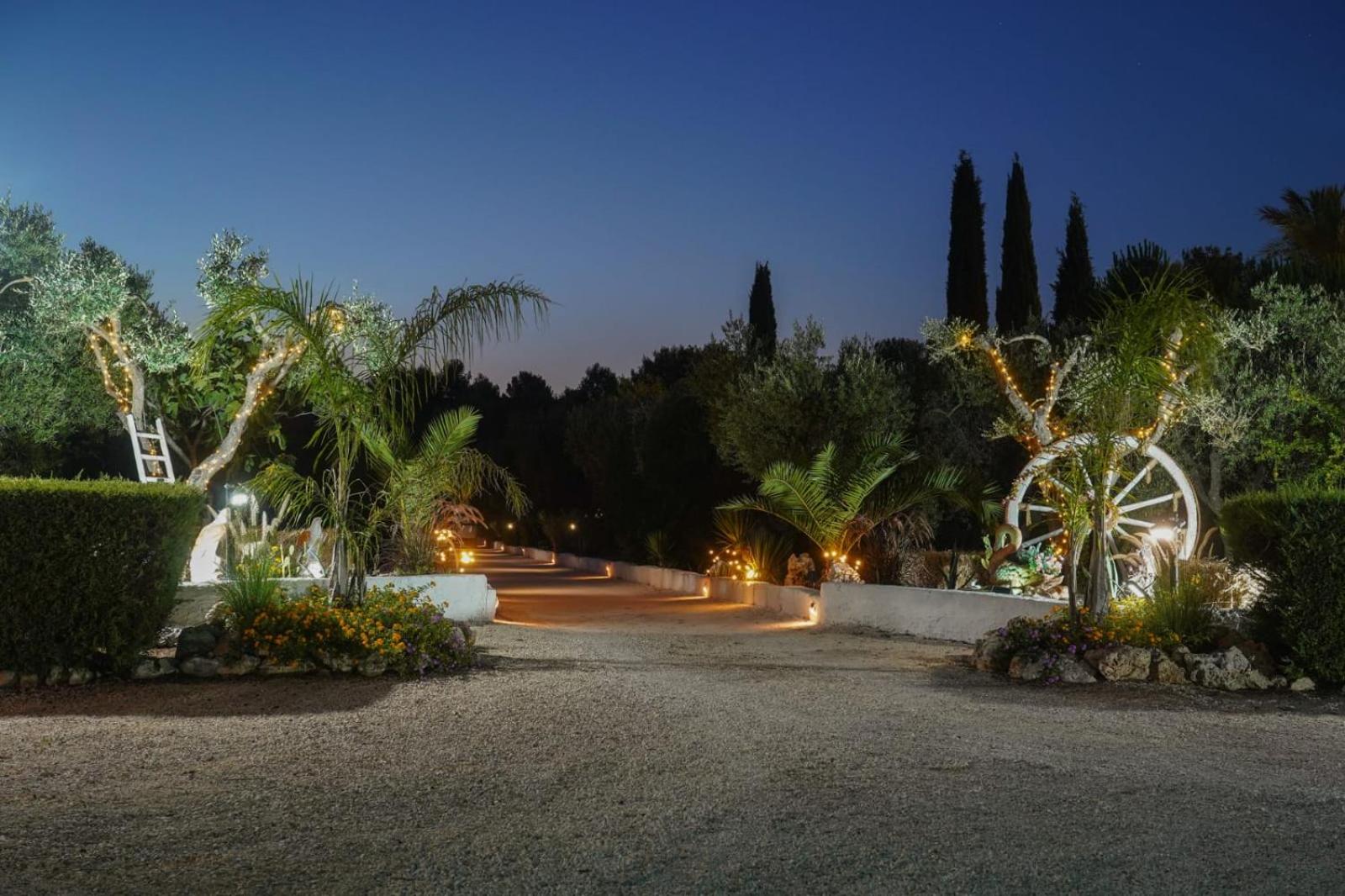 One-Bedroom House photo 3