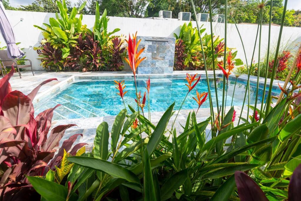 Villa photo 3