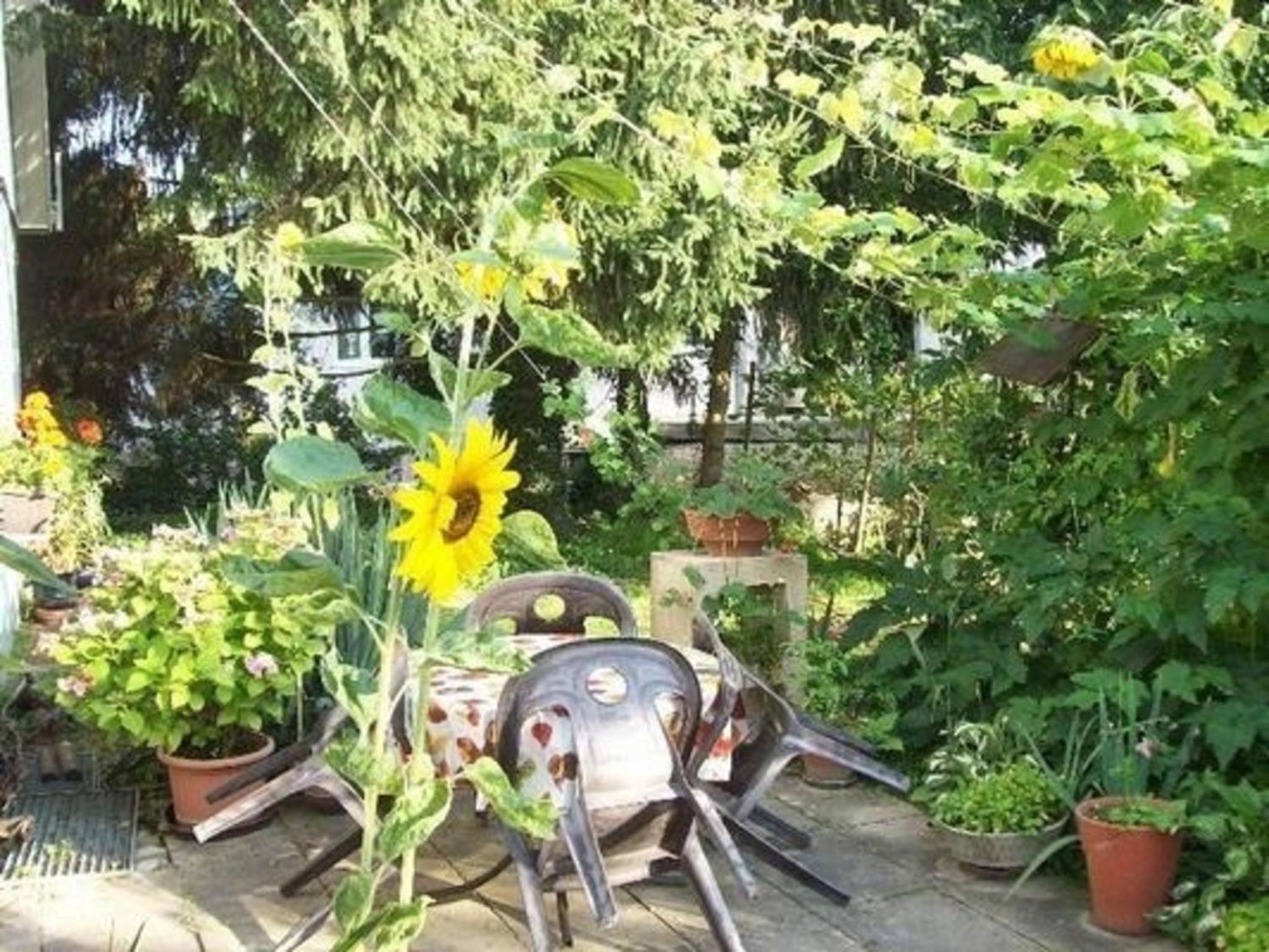 Apartment photo 2