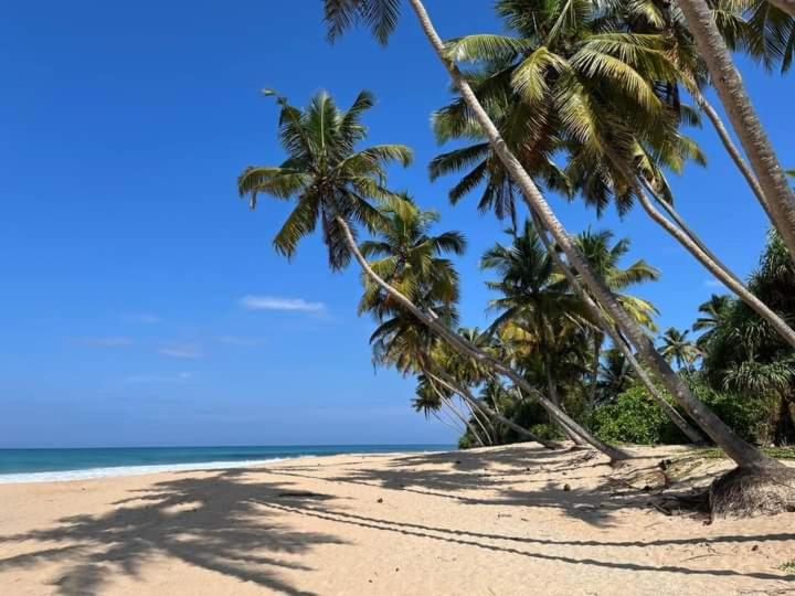 Deluxe Double Room with Sea View photo 1