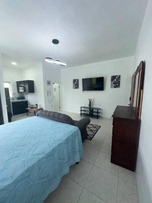 One-Bedroom Apartment photo 2