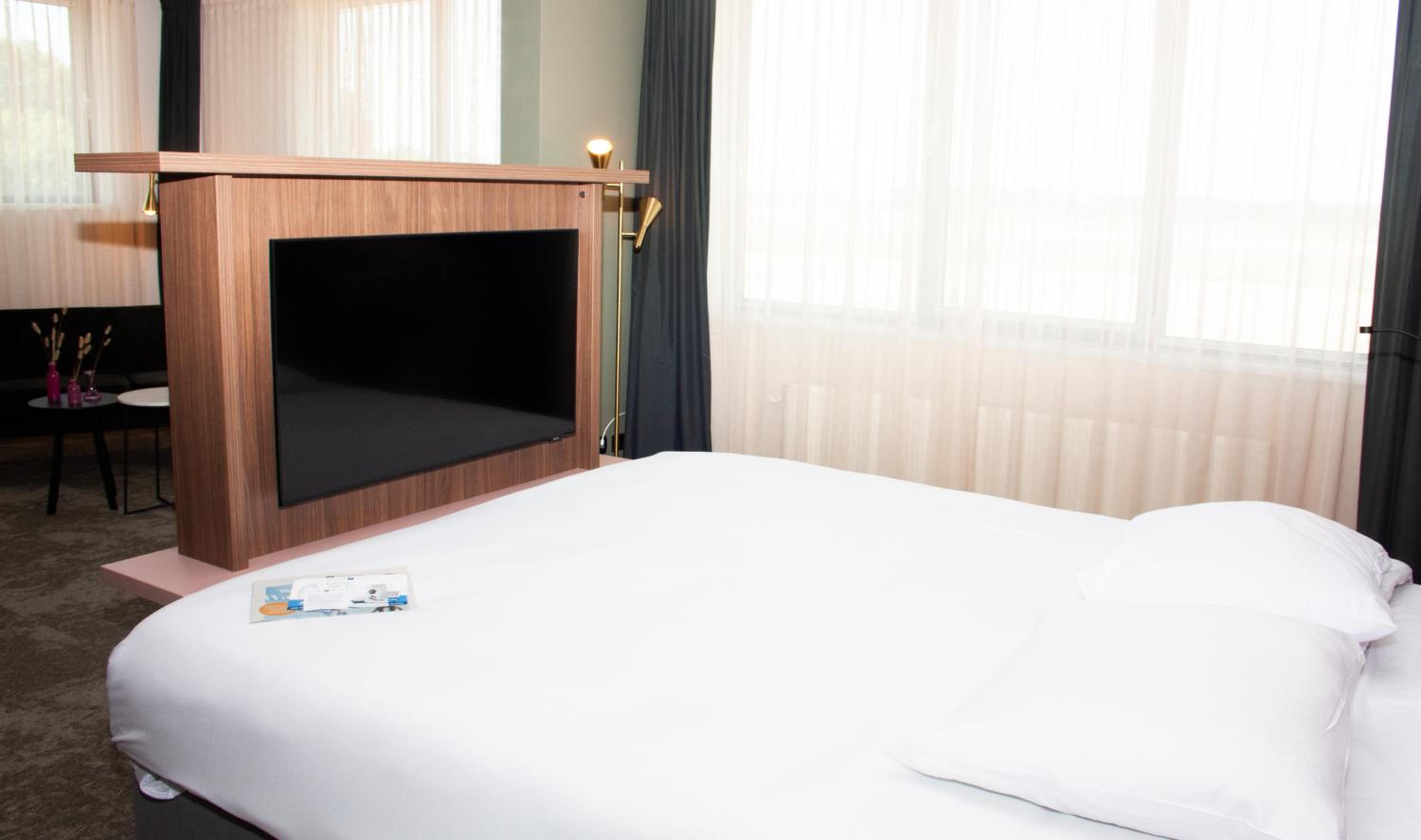 Suite - Photo 1