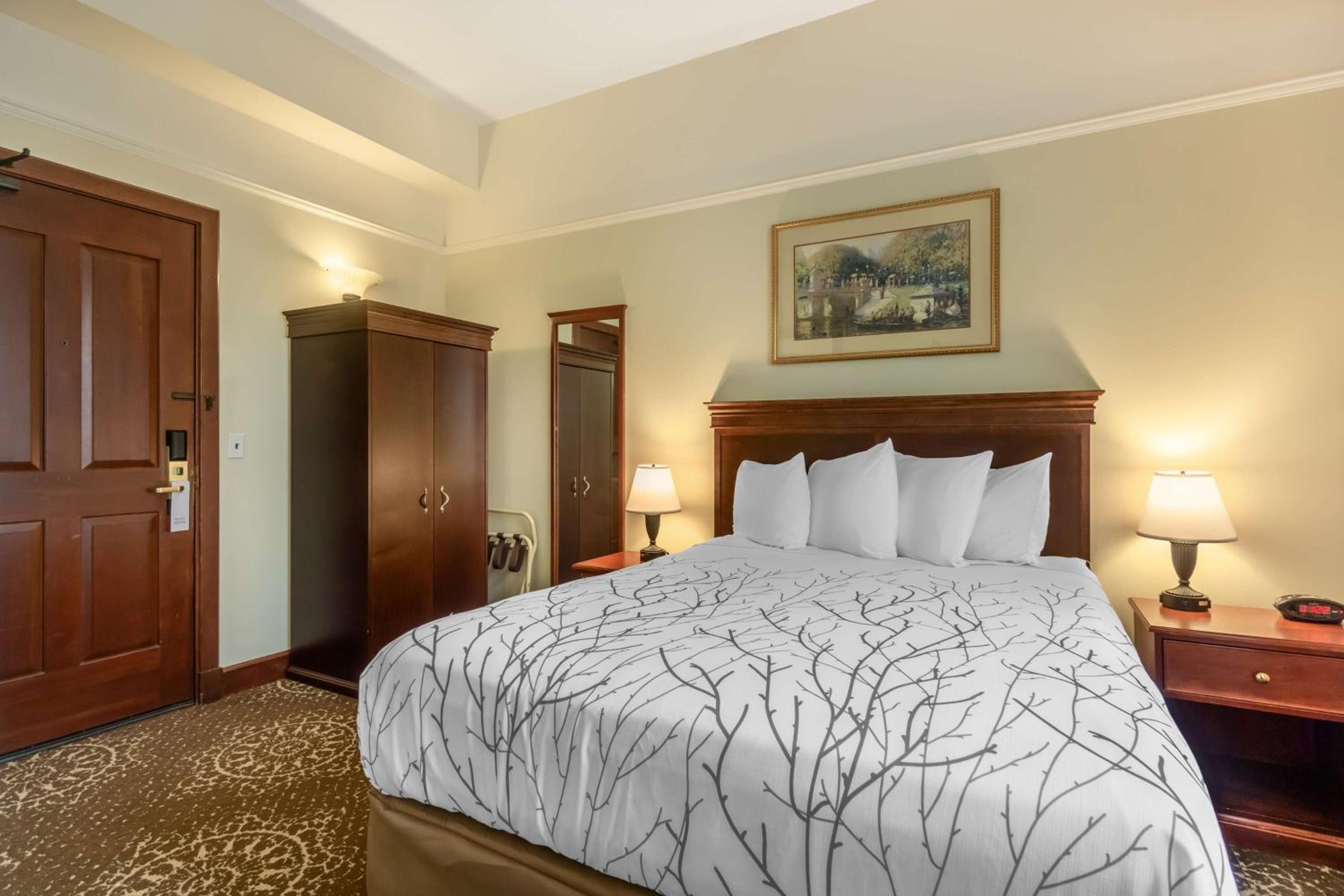 King Room - Non-Smoking - Photo 1