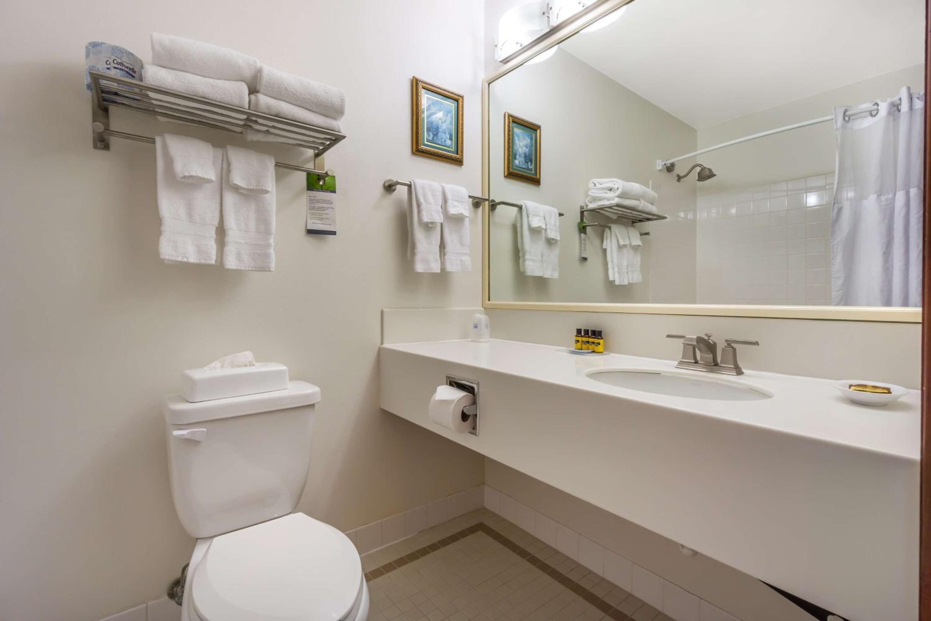 King Room - Non-Smoking - Photo 11