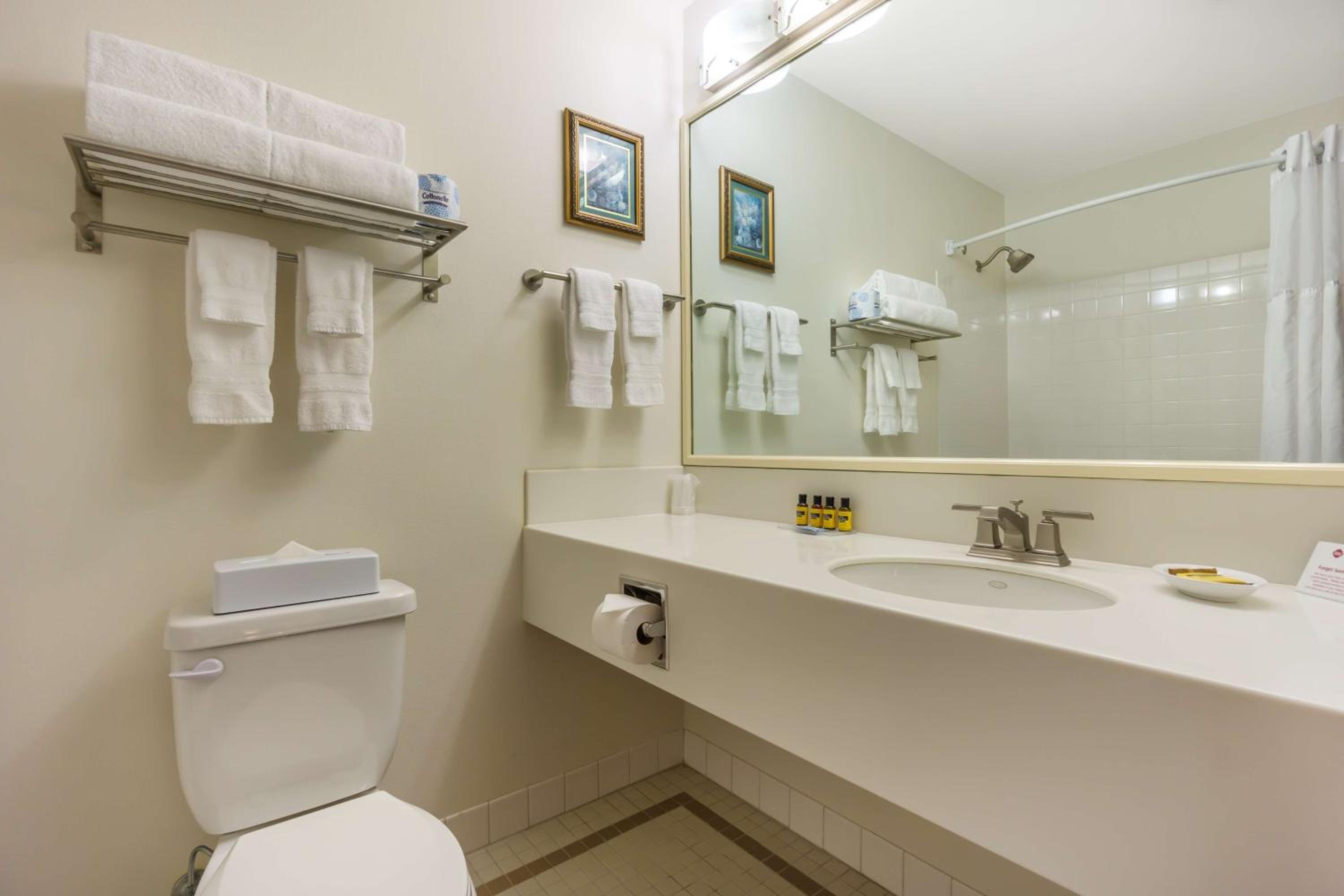King Room - Non-Smoking - Photo 13